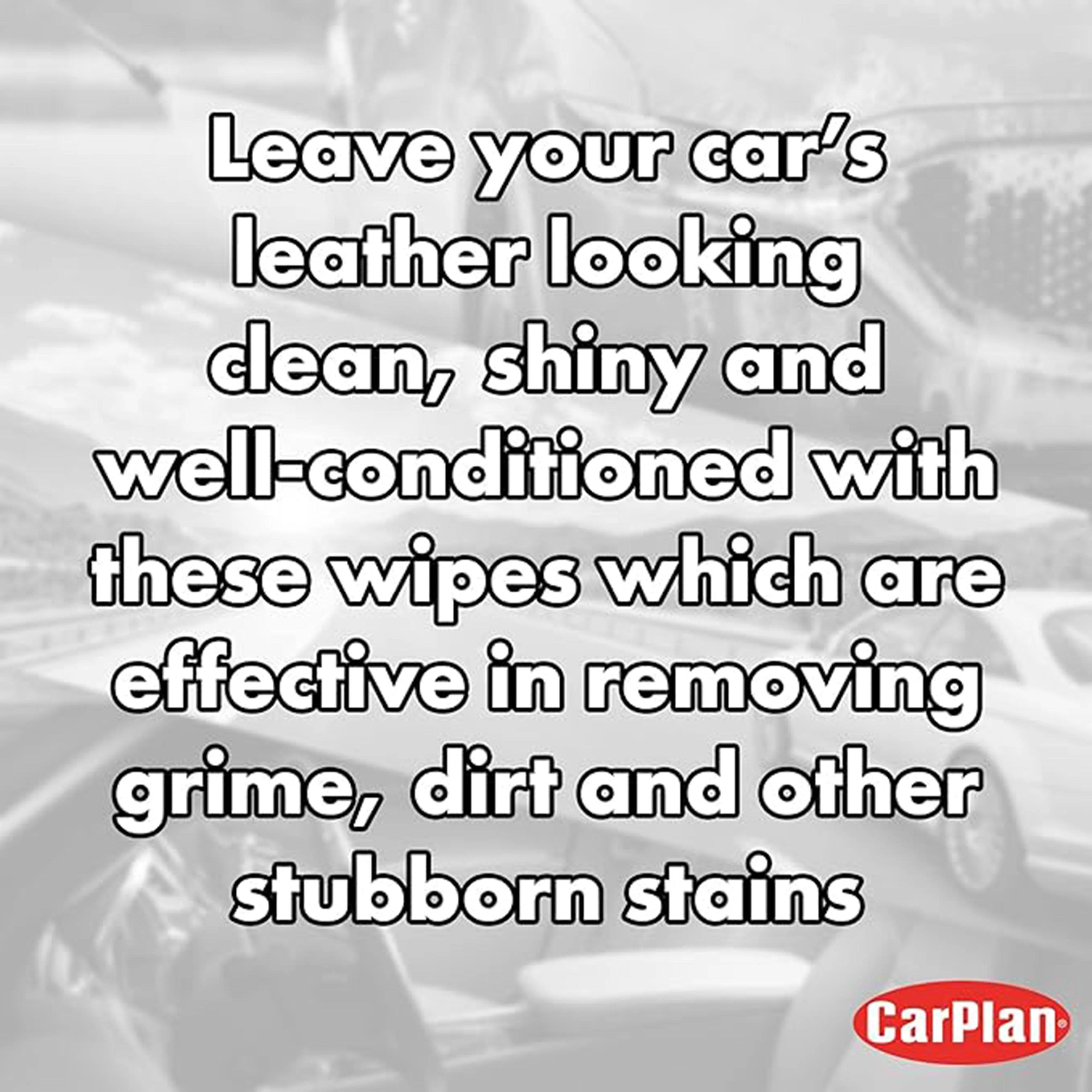 Leather Wipes - Image 6