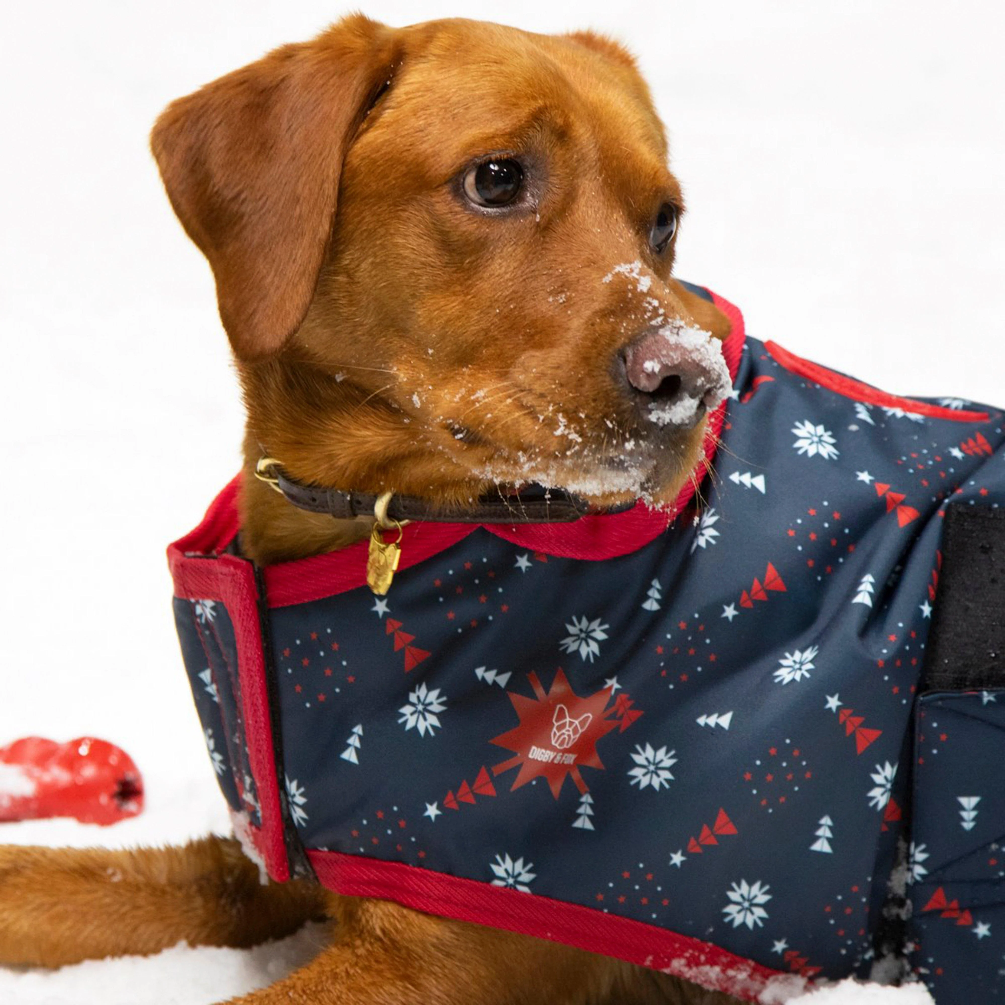 Christmas Waterproof Dog Coat - Image 3