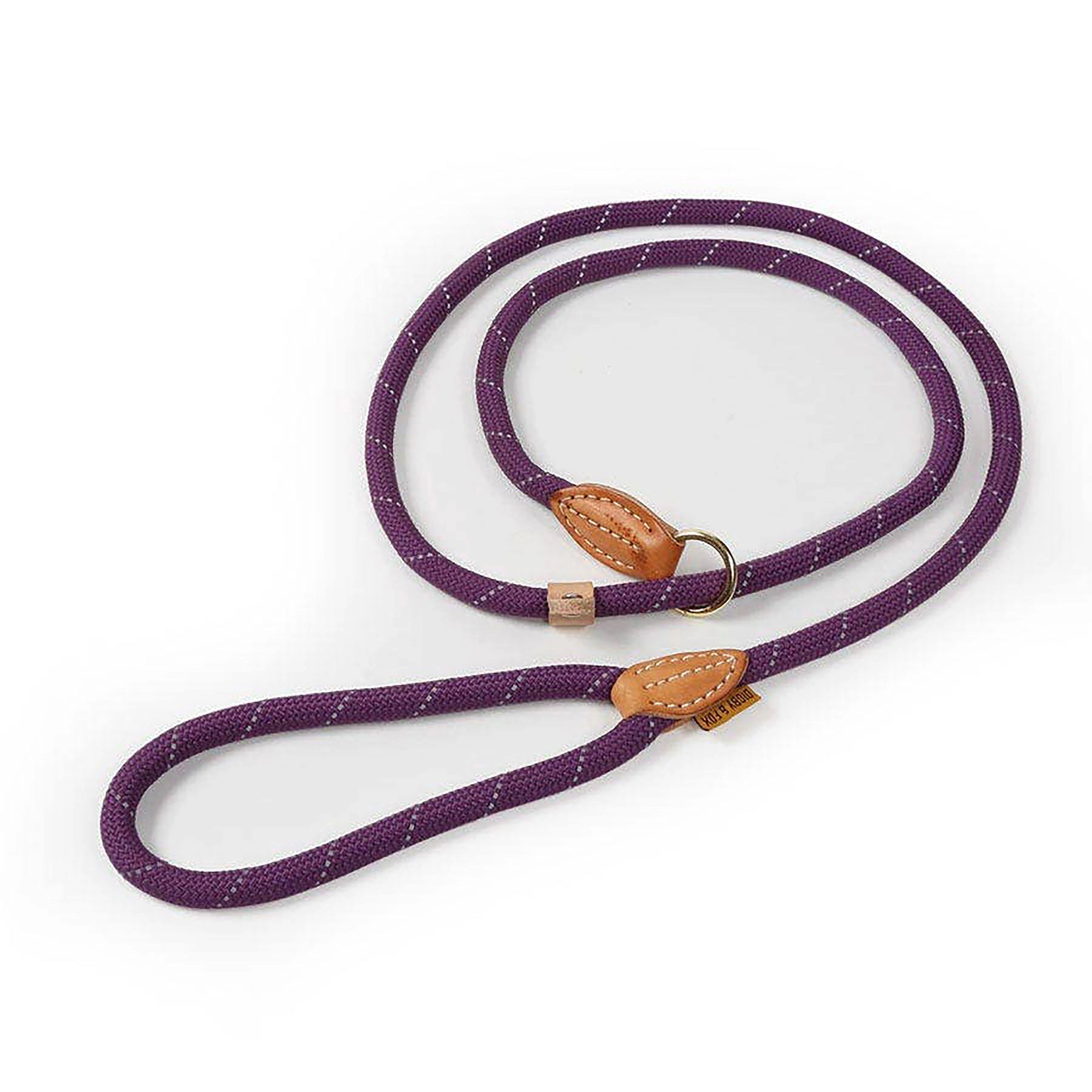 Digby & Fox Reflective Slip Dog Lead - Image 2