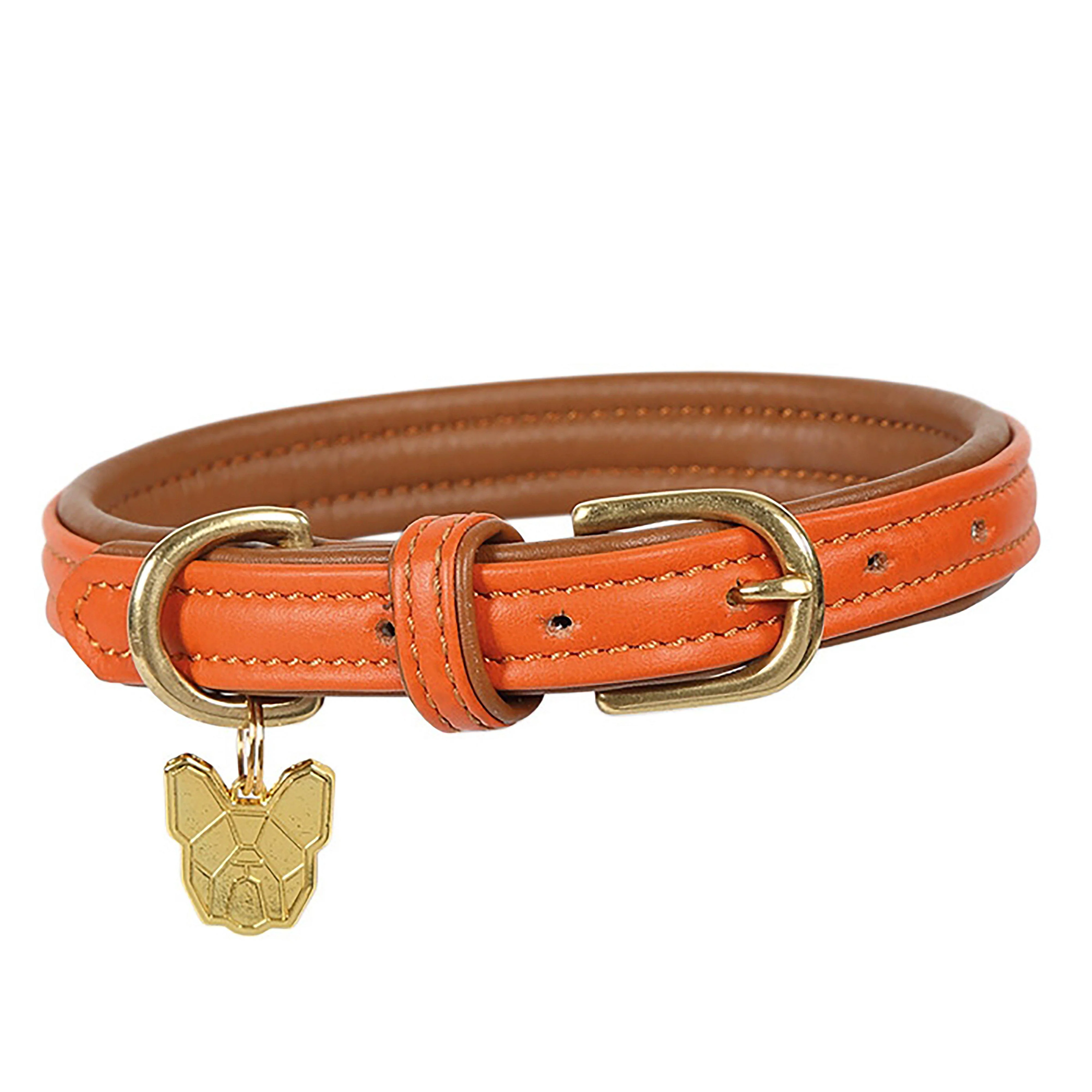 Padded Leather Dog Collar Orange - Image 2
