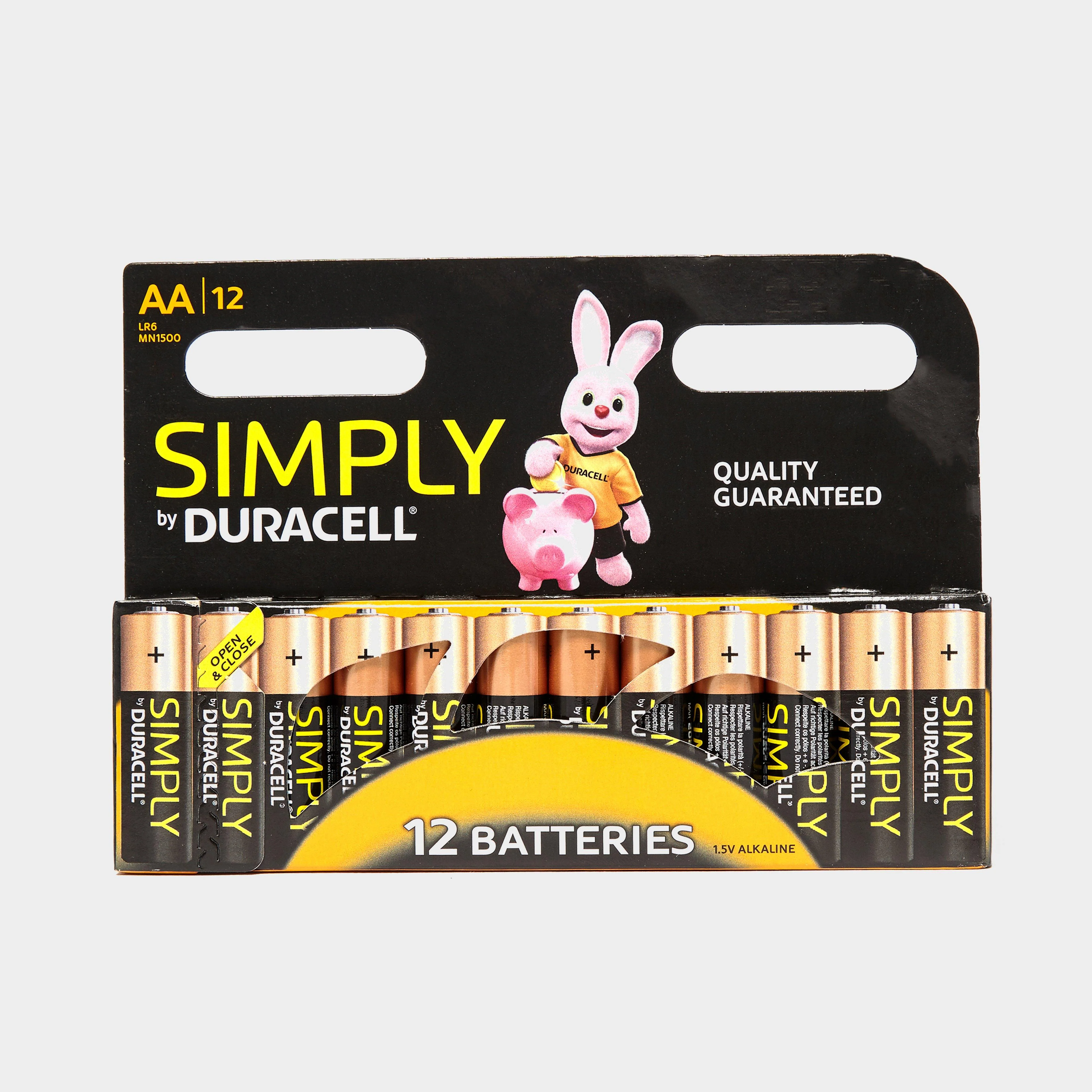 AA Batteries - 12 Pack