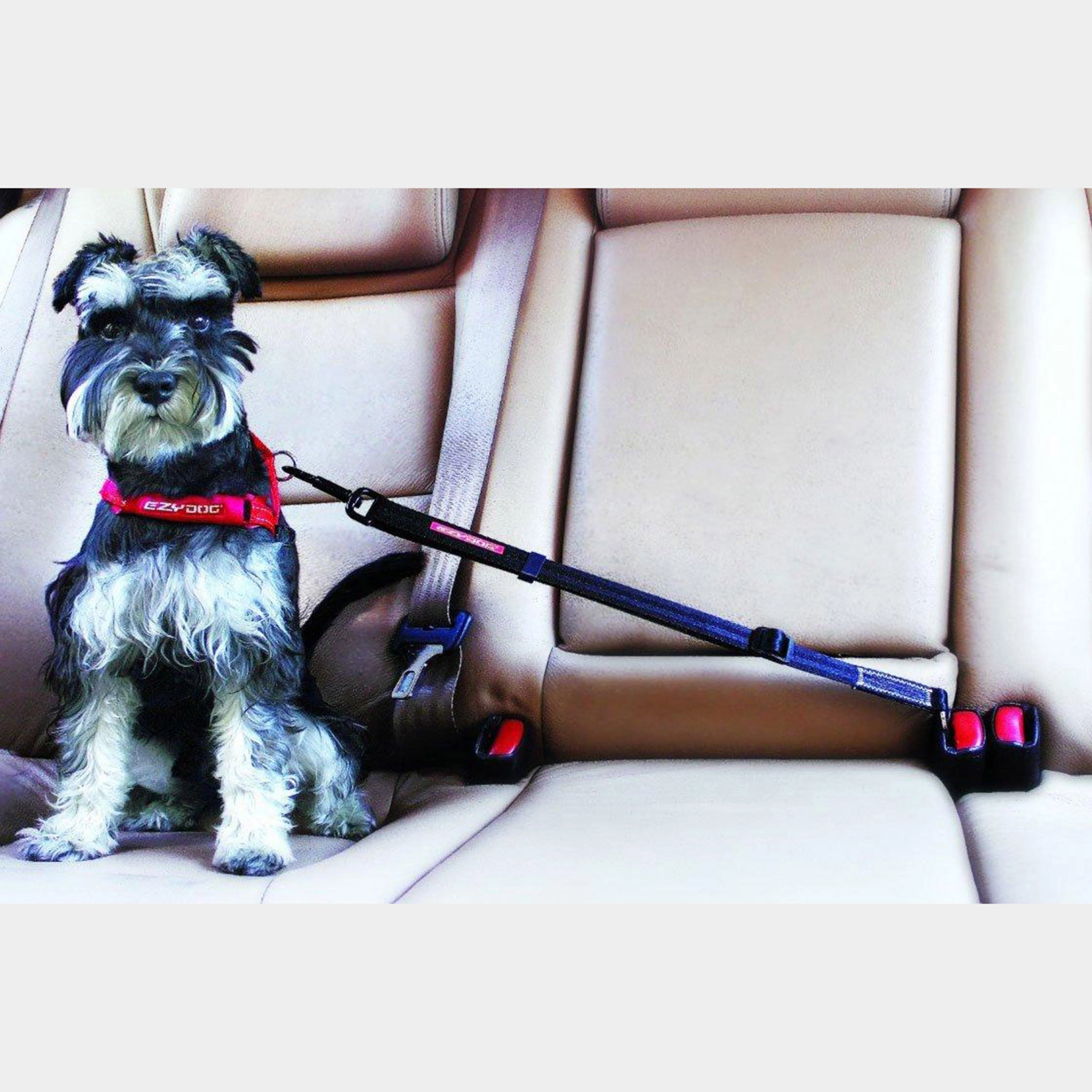 'Click' Adjustable Car Restraint - Image 2
