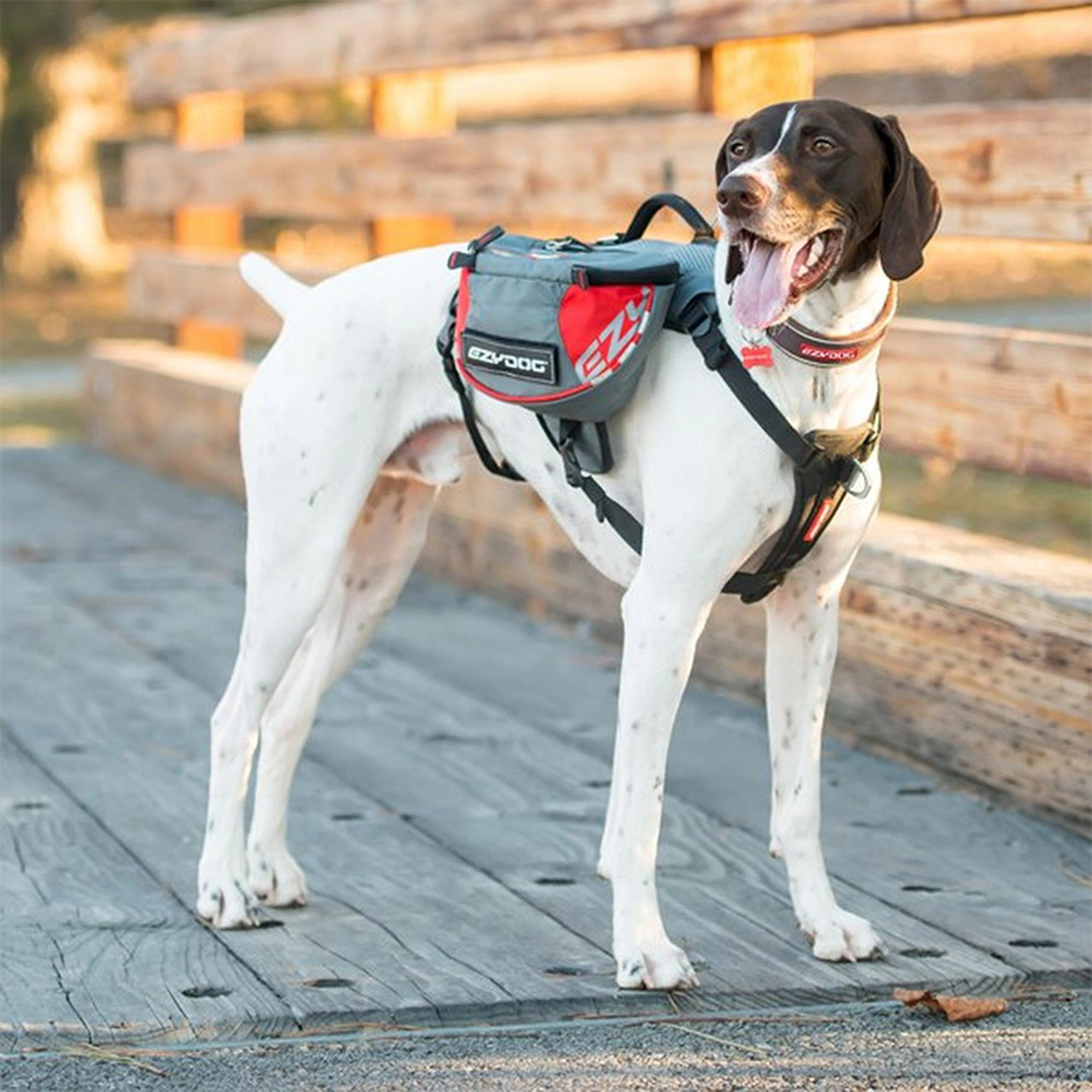 Summit Backpack (Large) - Image 3