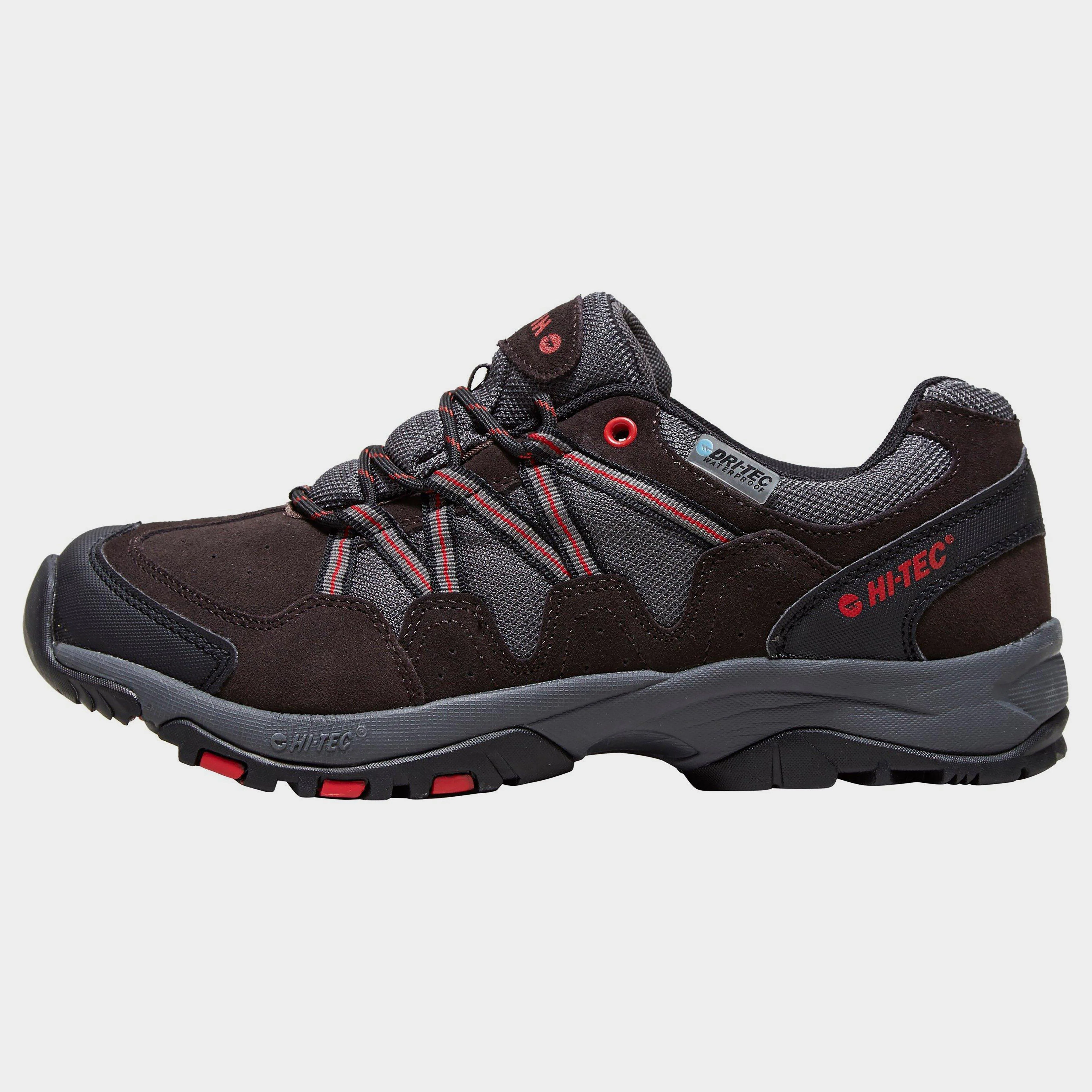 Men's Dexter Walking Shoe