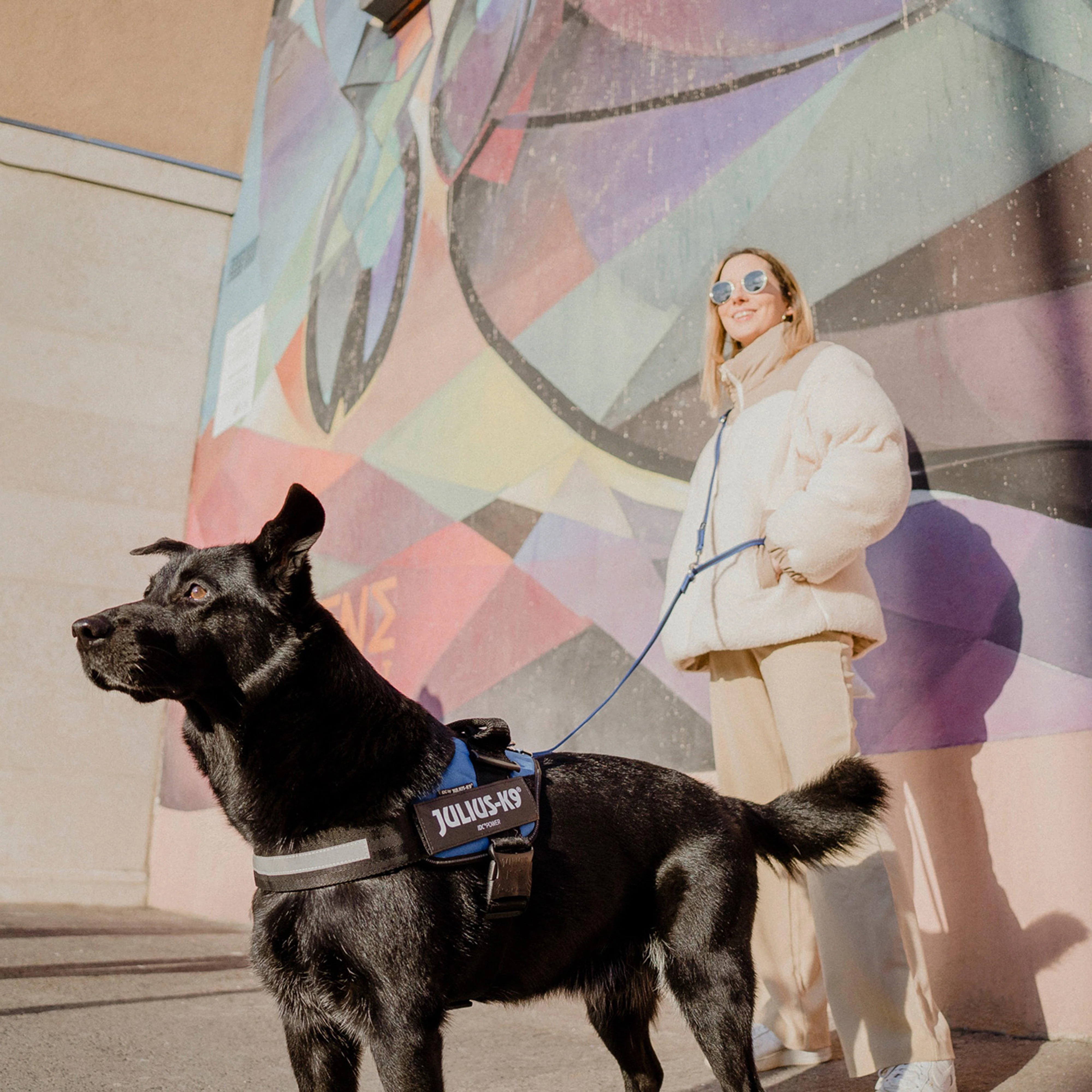 Original K9 Powerharness Size 0 - Image 2