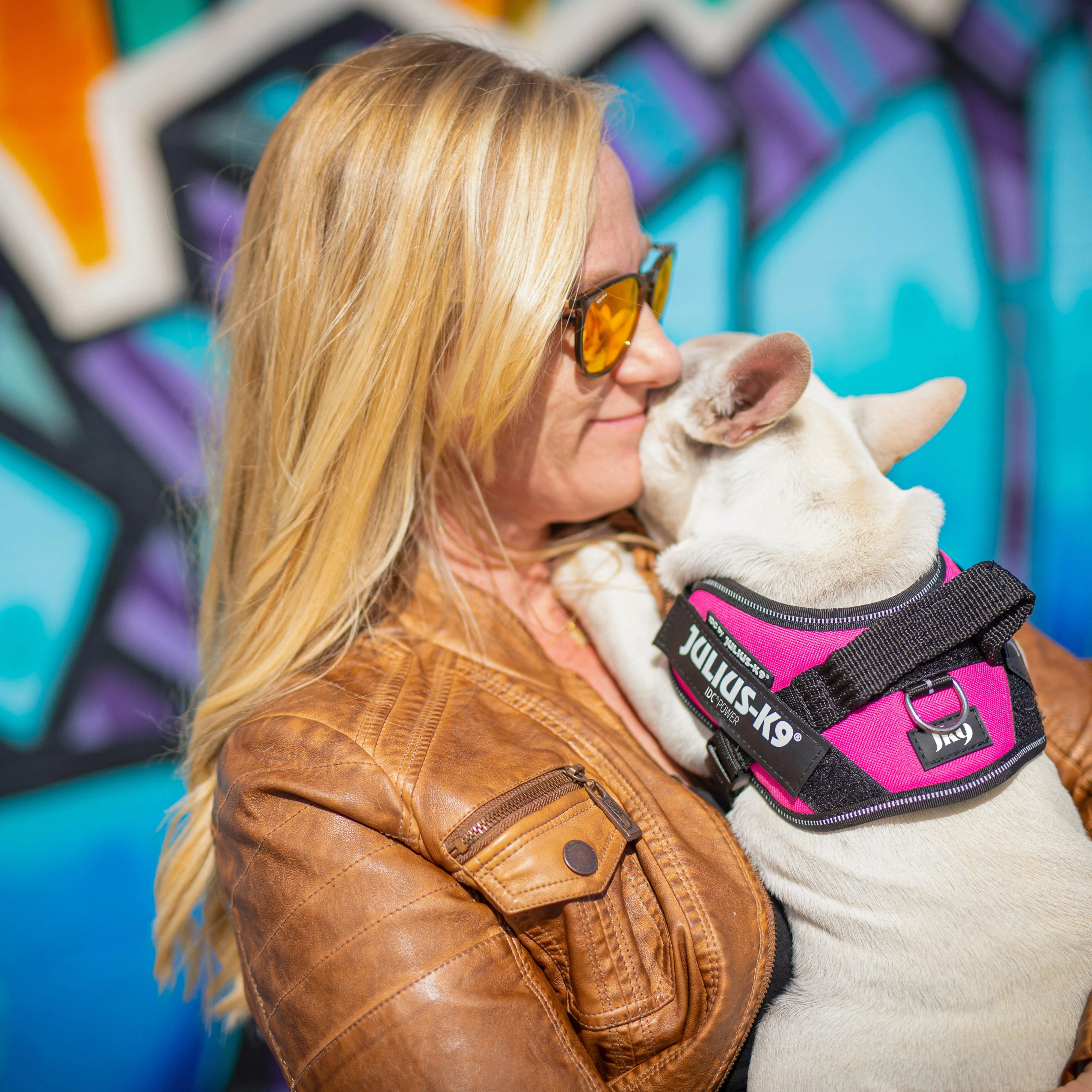 Original K9 Powerharness Size 2 - Image 2
