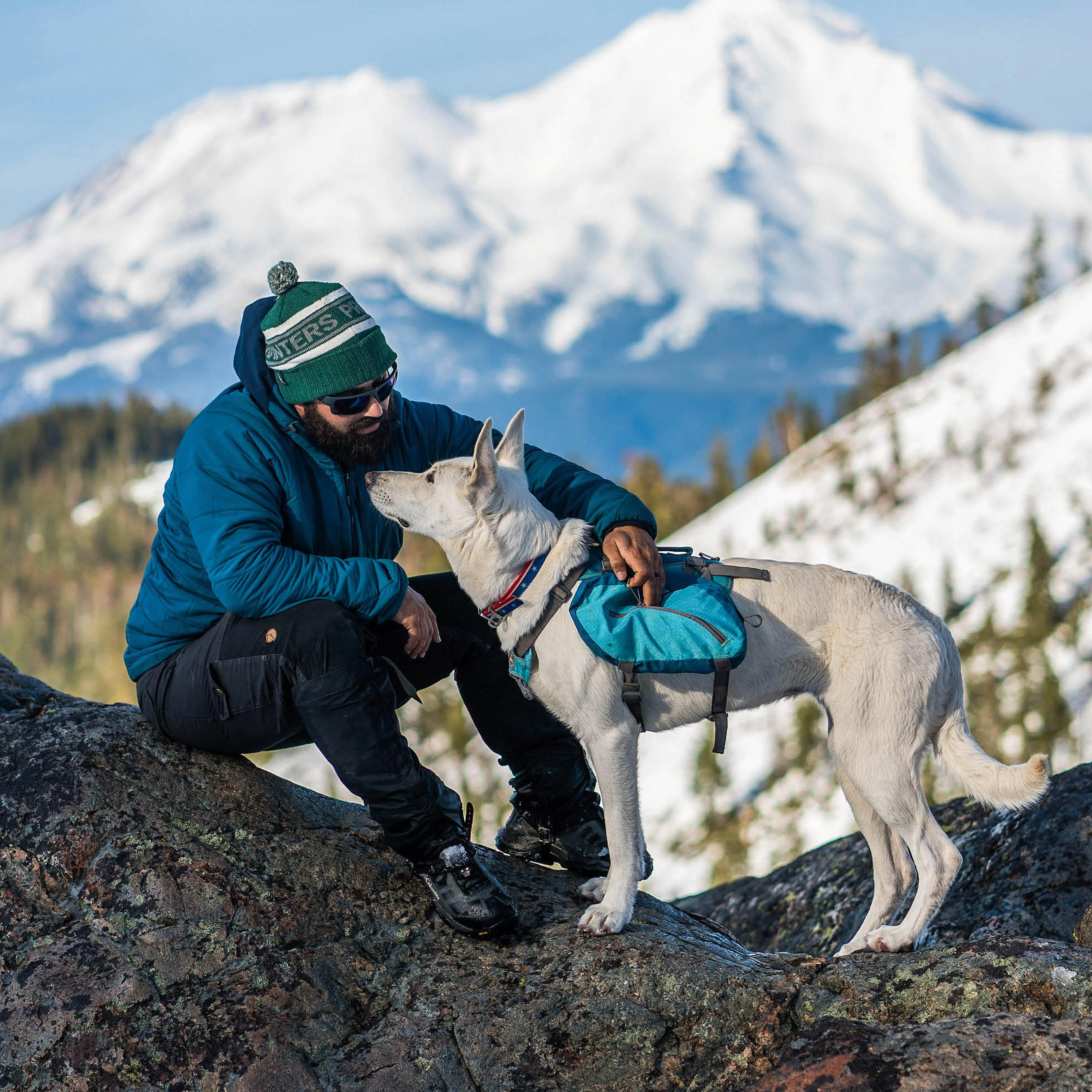 Baxter Dog Backpack - Image 5