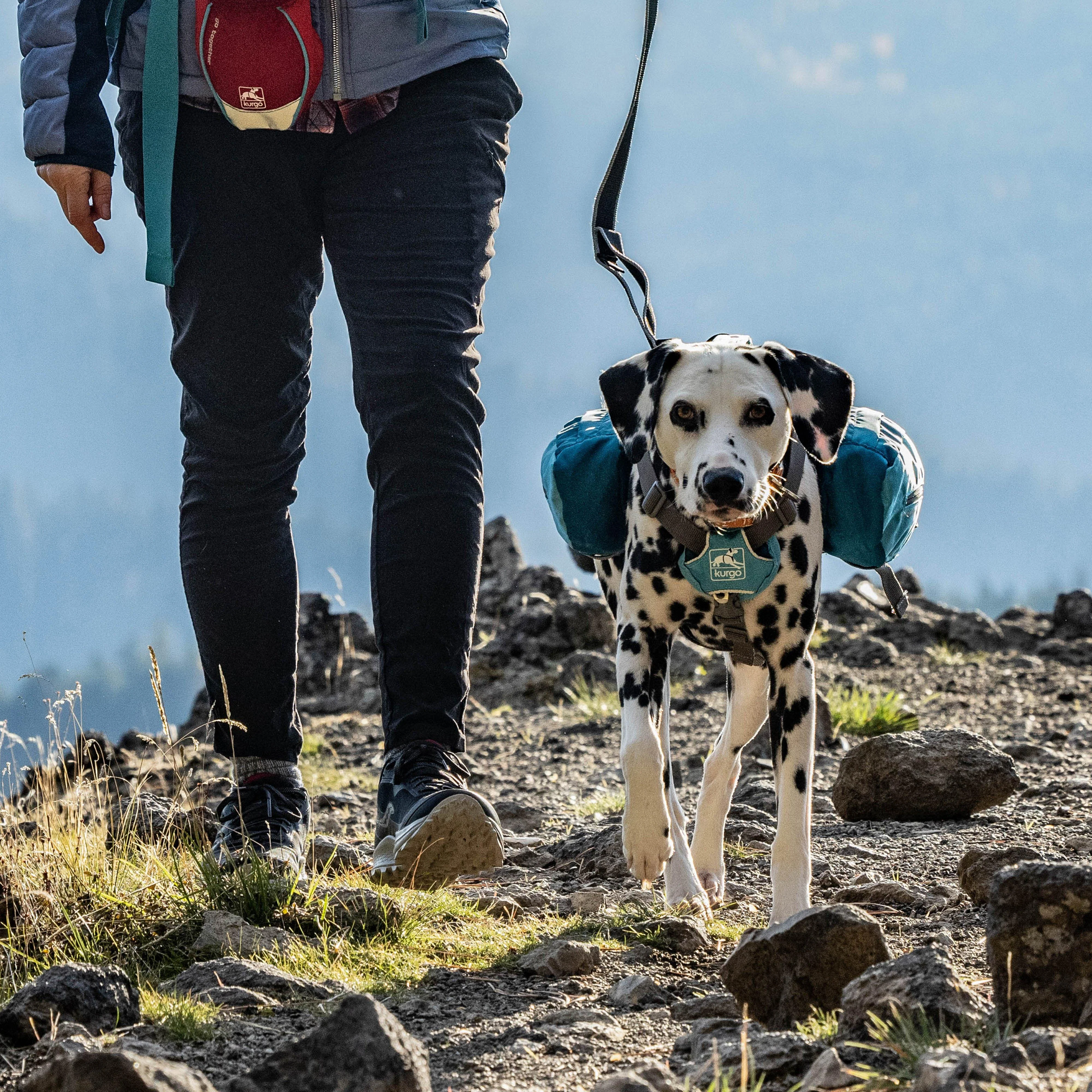 Baxter Dog Backpack - Image 6