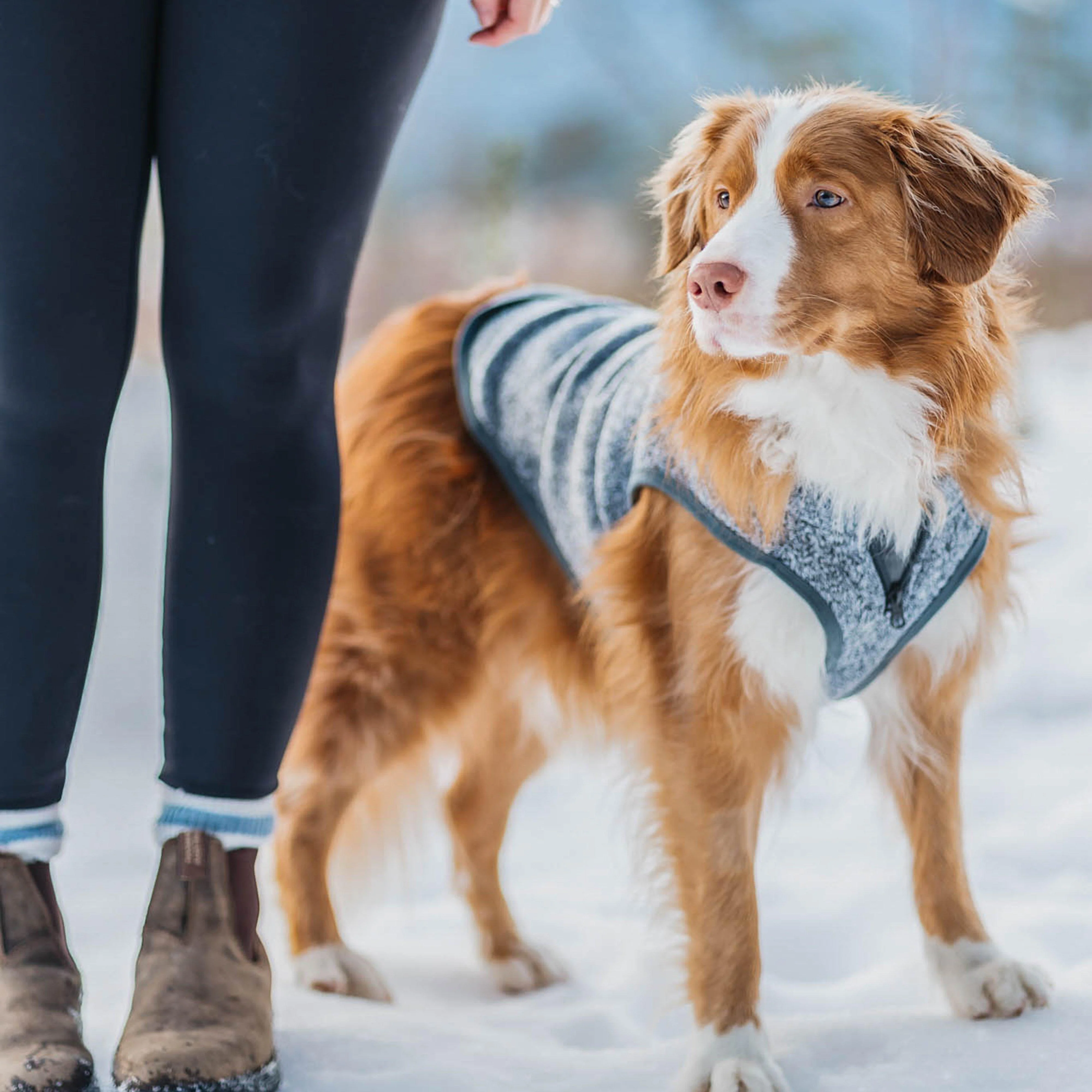 Core Dog Sweater - Image 2