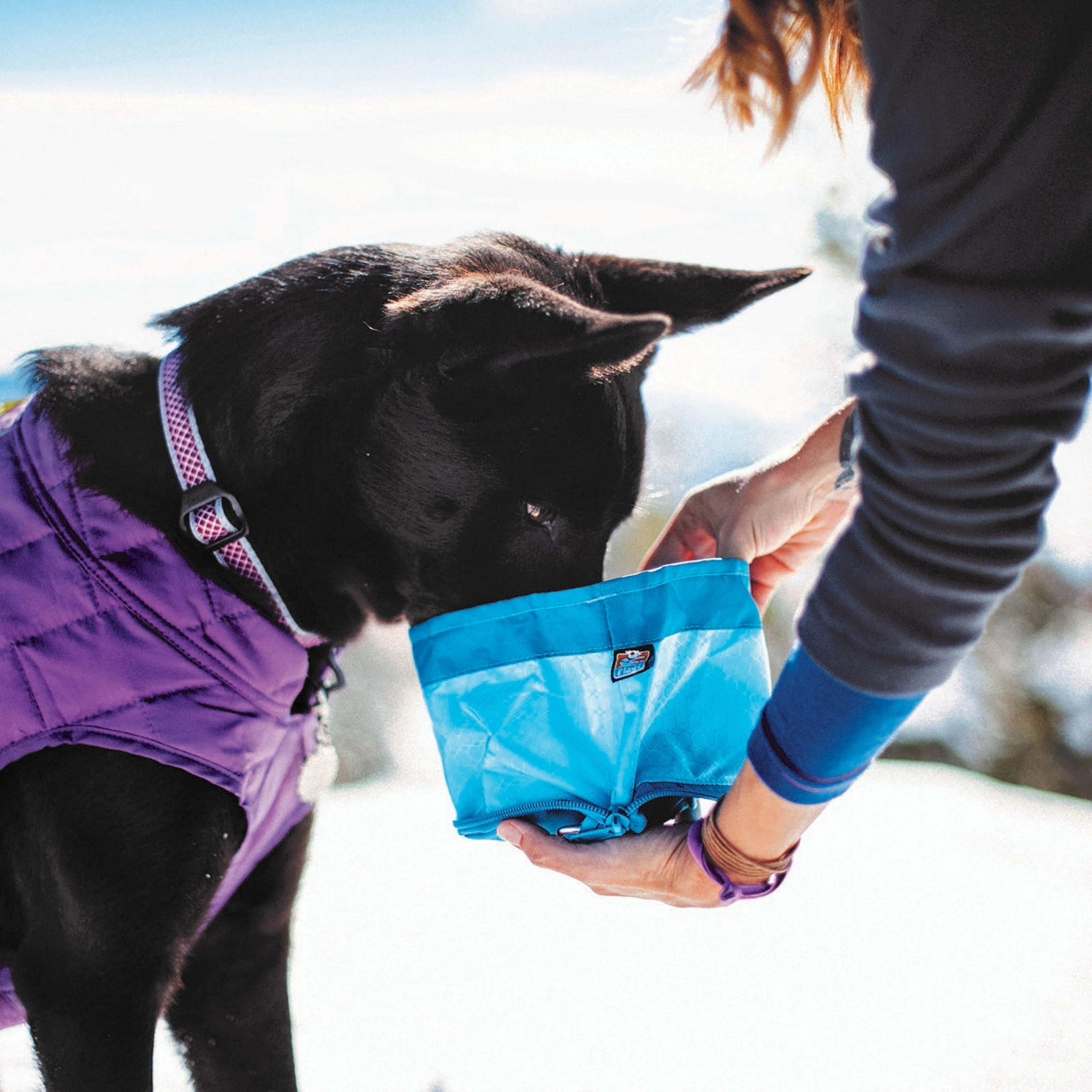 Dog Zippy Bowl - Image 3