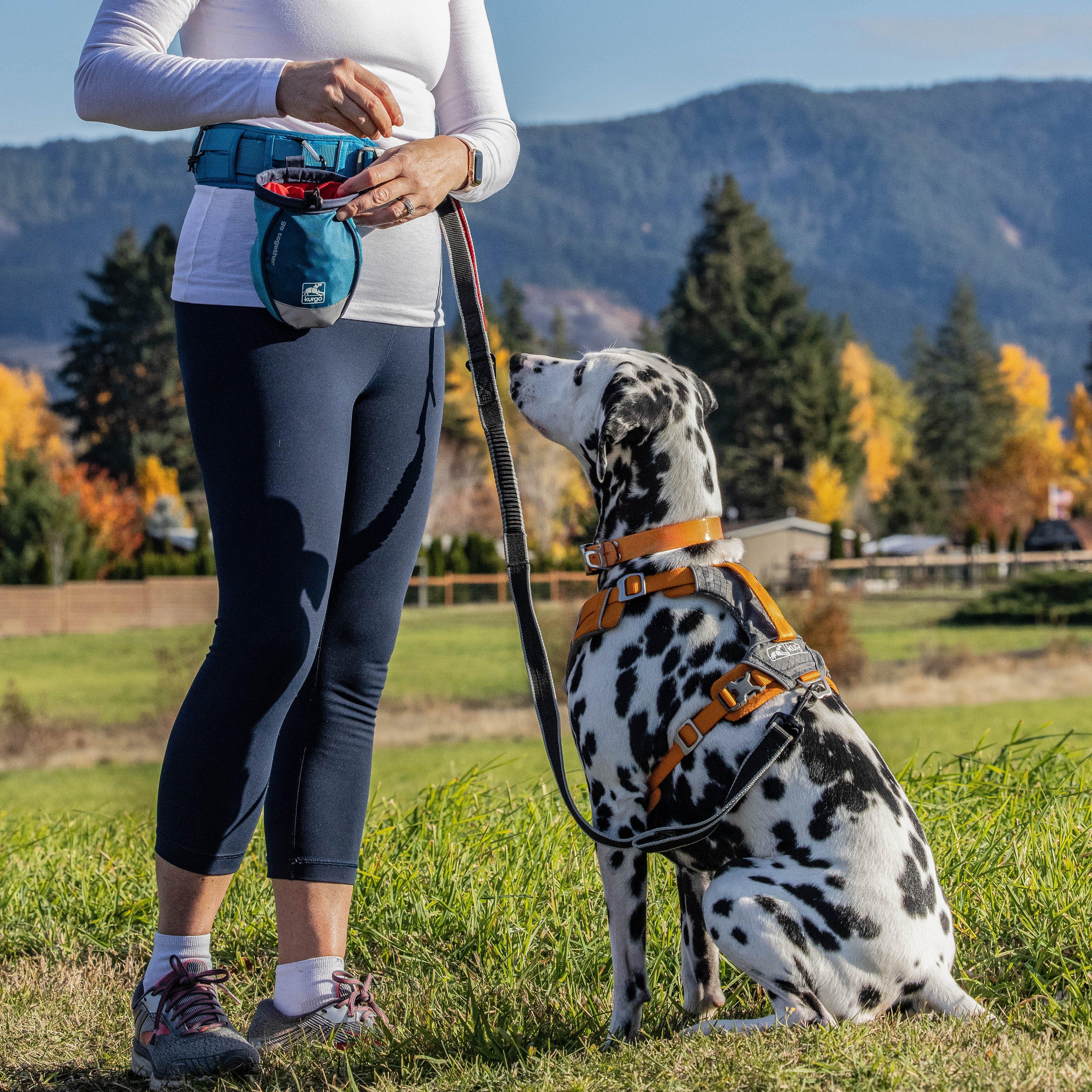 Go Stuff It Dog Treat Bag - Image 6