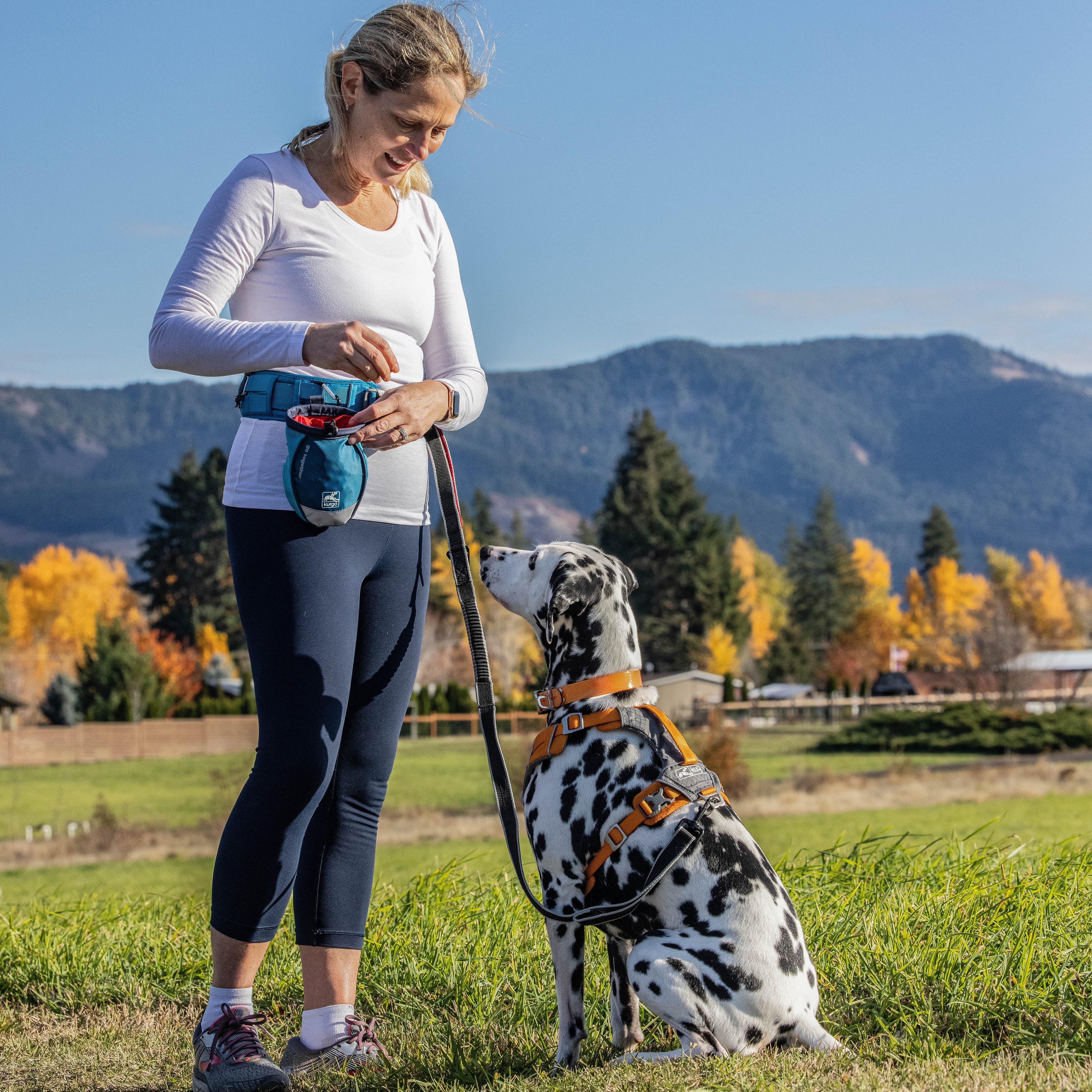 Go Stuff It Dog Treat Bag - Image 8