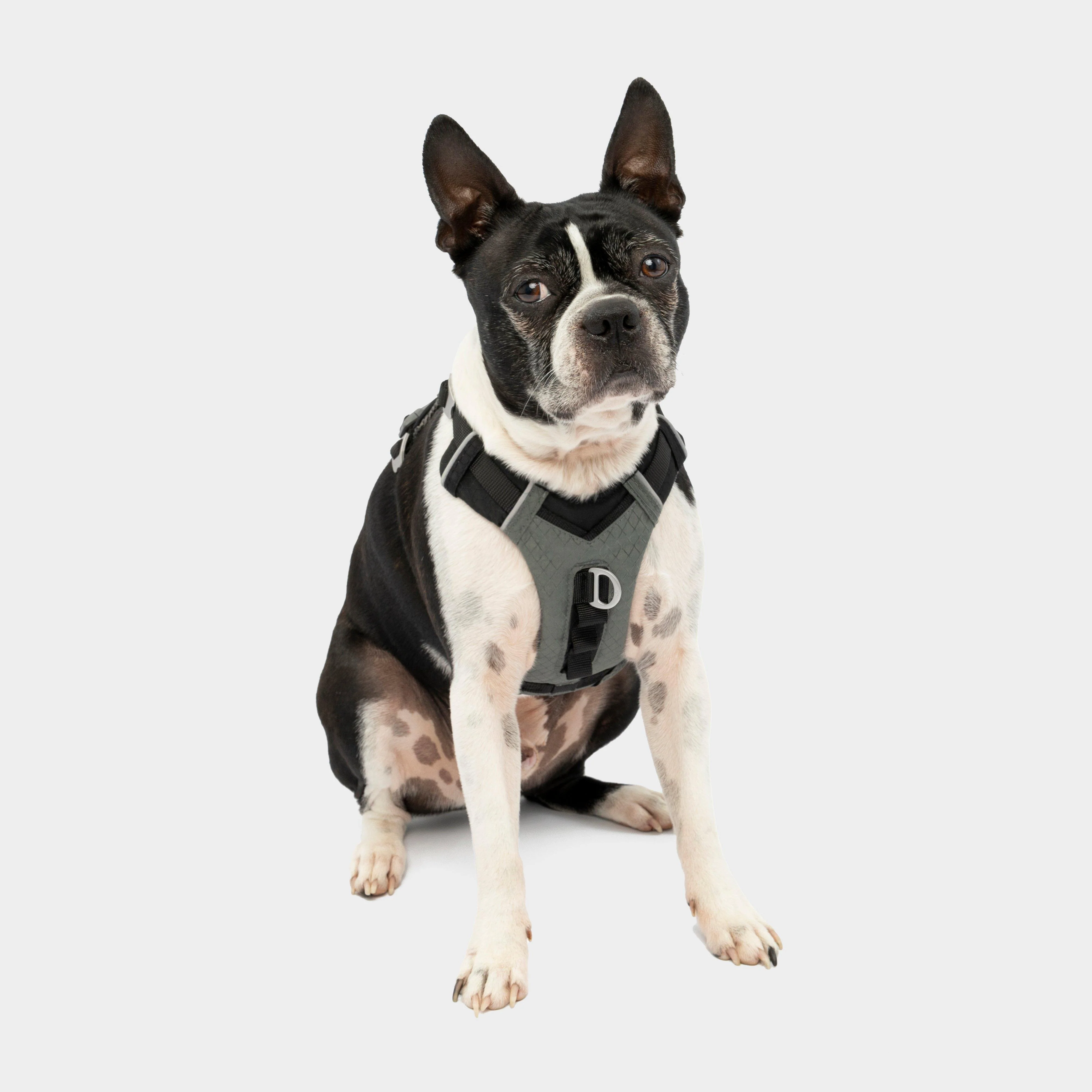Journey Air Dog Harness - Image 2