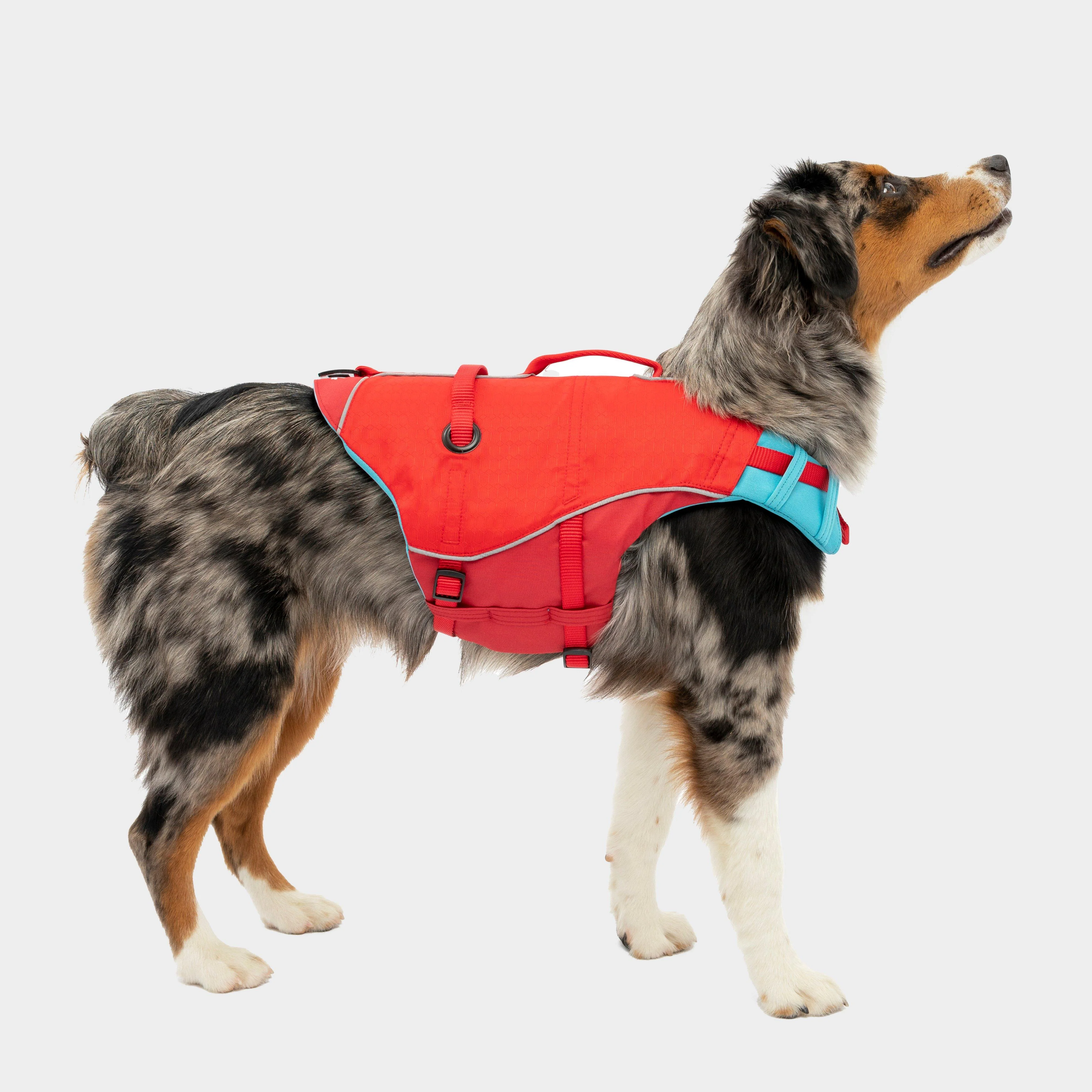 Surf N Turf Dog Life Jacket - Image 2