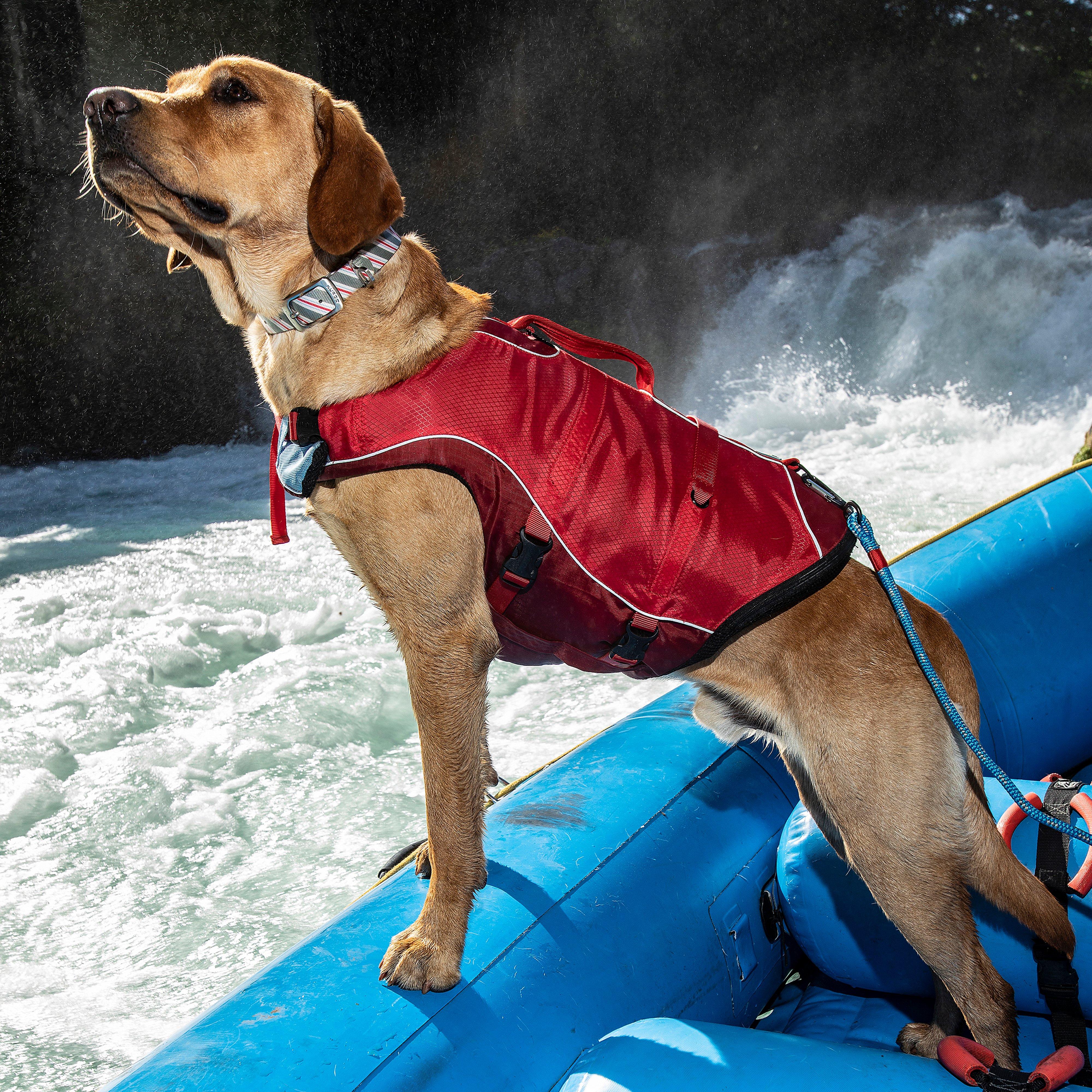 Surf N Turf Dog Life Jacket - Image 6