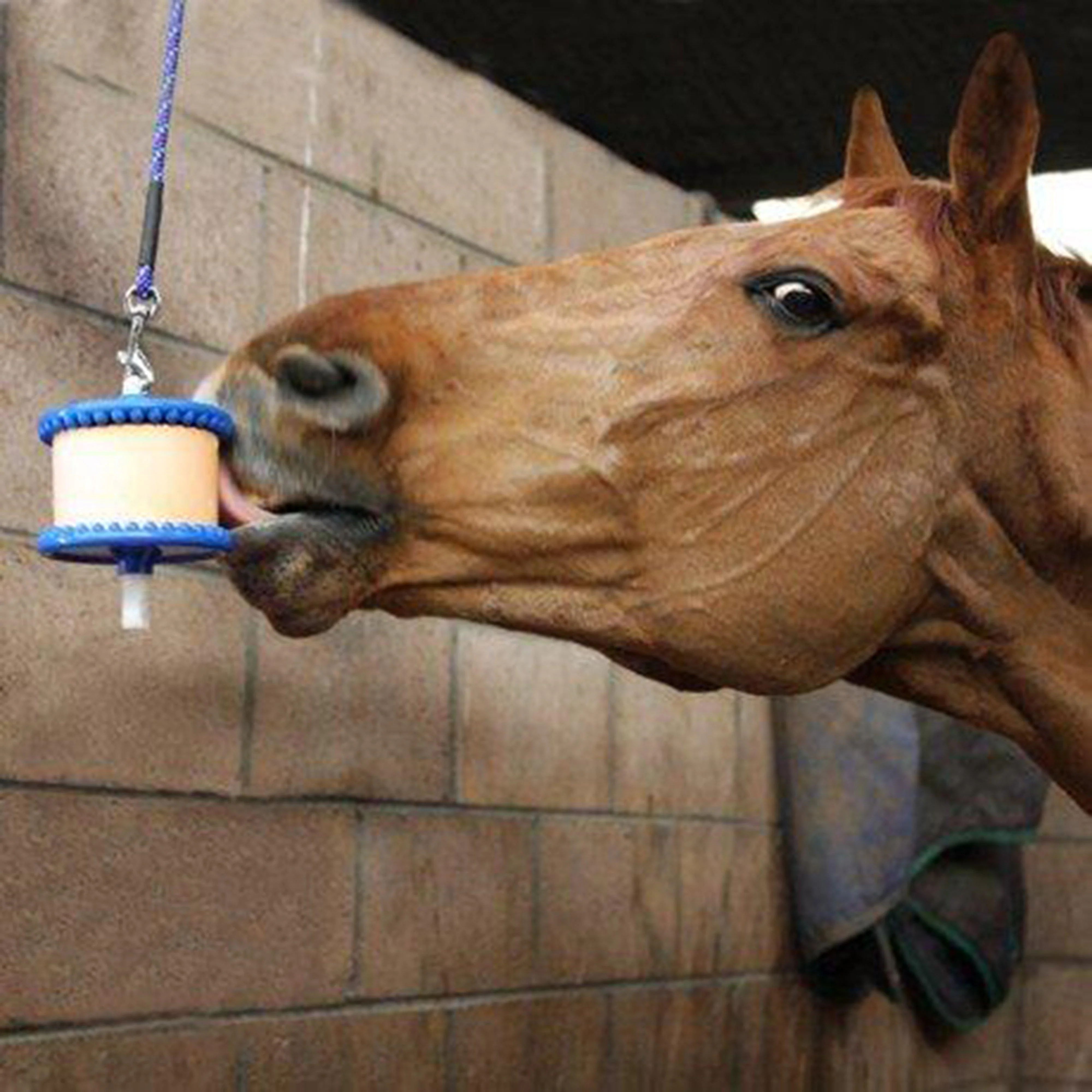 Horse Lick - Image 2