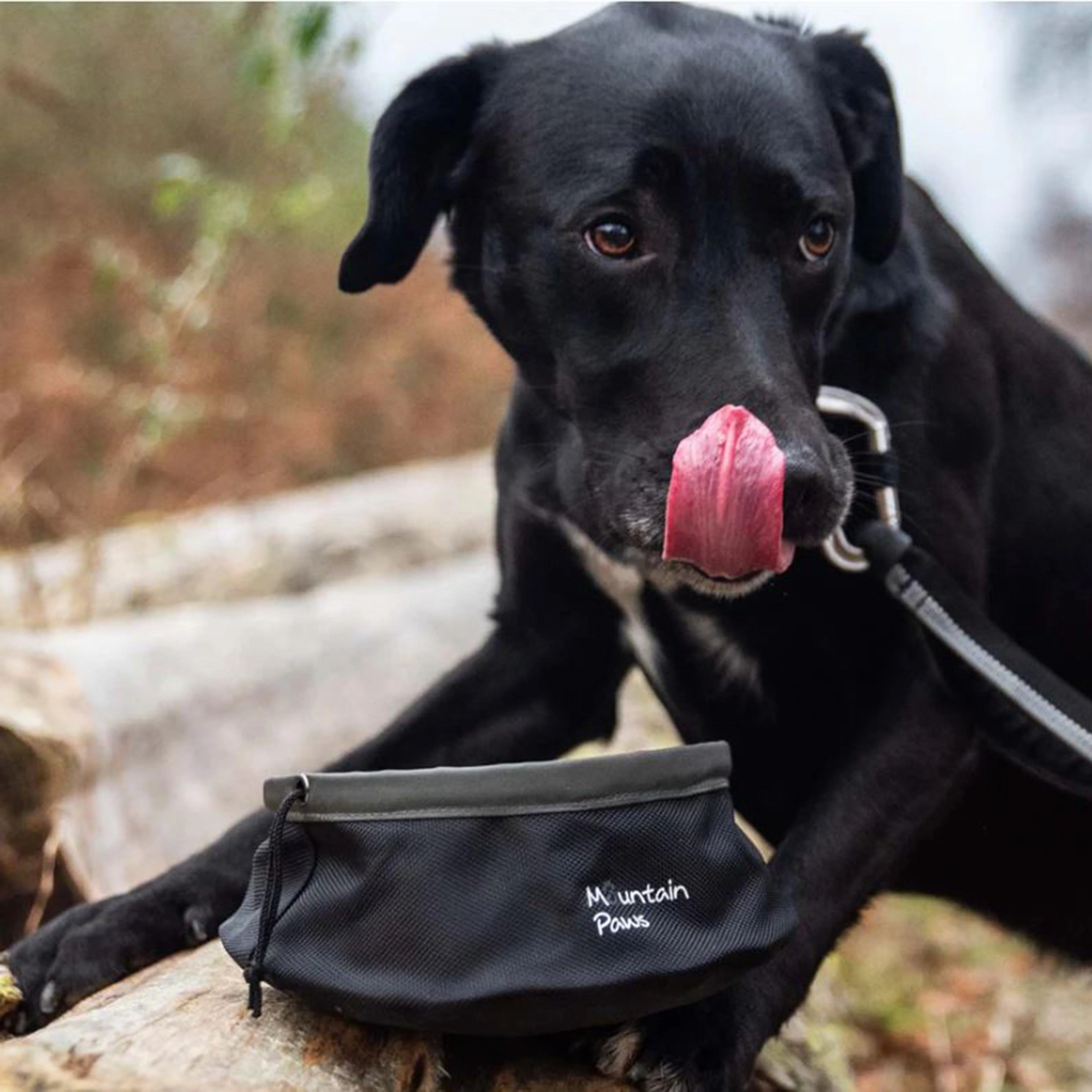 Dog Food Bowl - Image 2