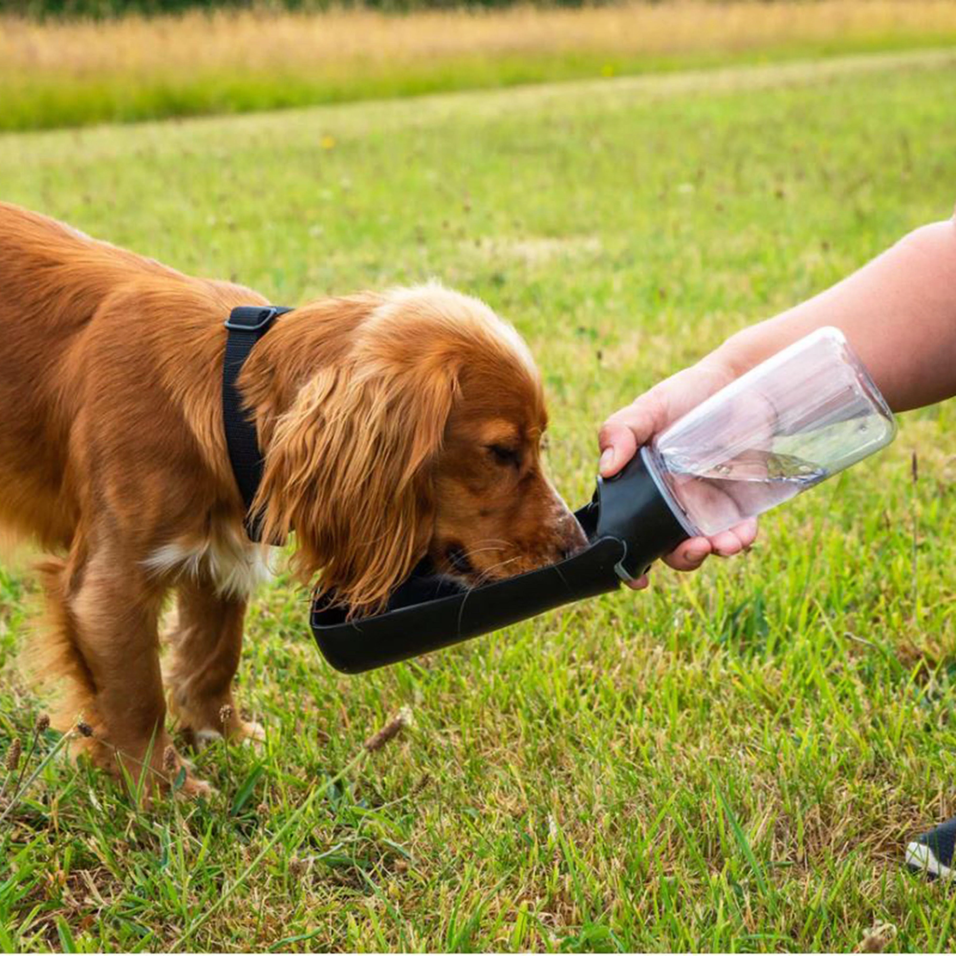 Folding Dog Water Bottle - Image 3