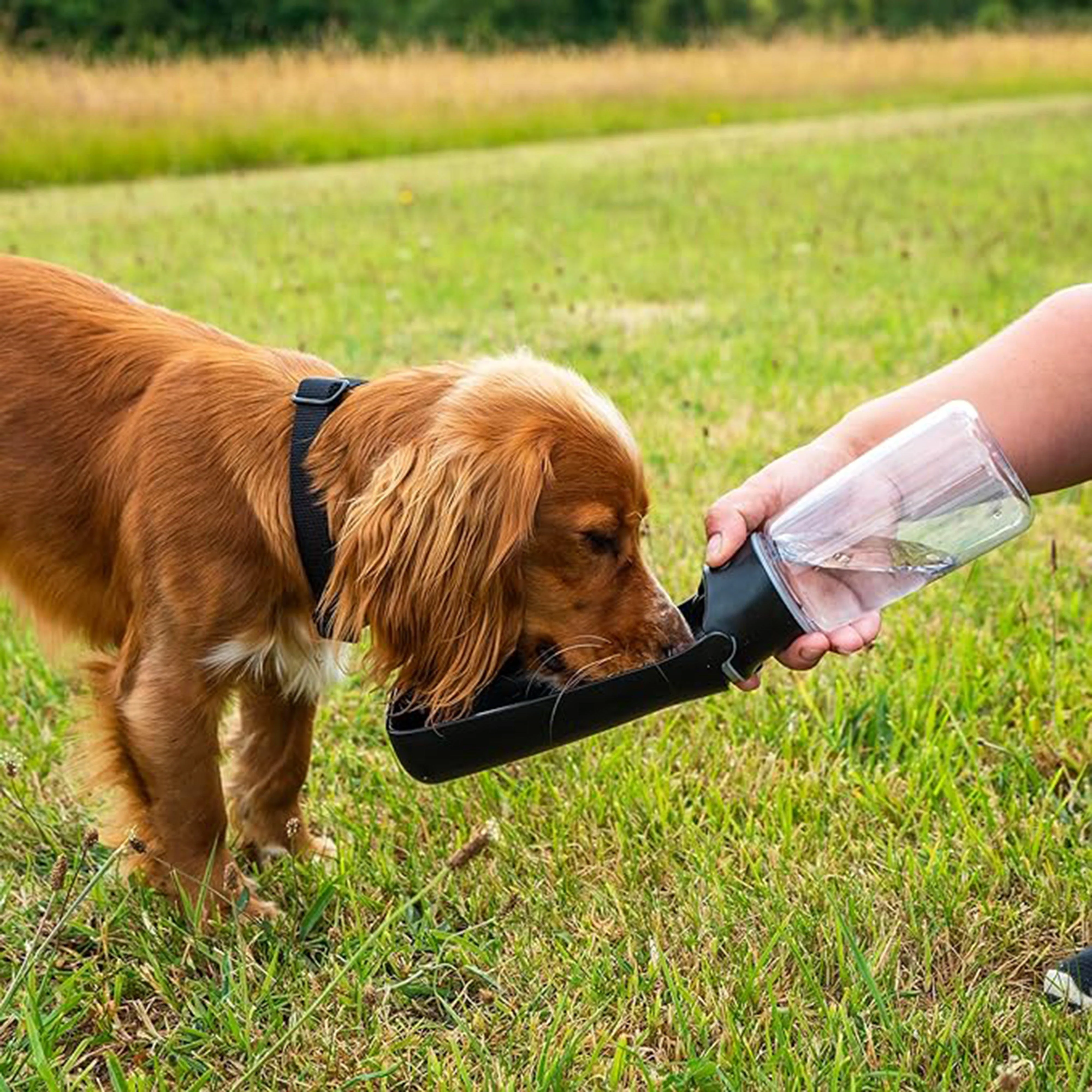 Folding Dog Water Bottle - Image 4