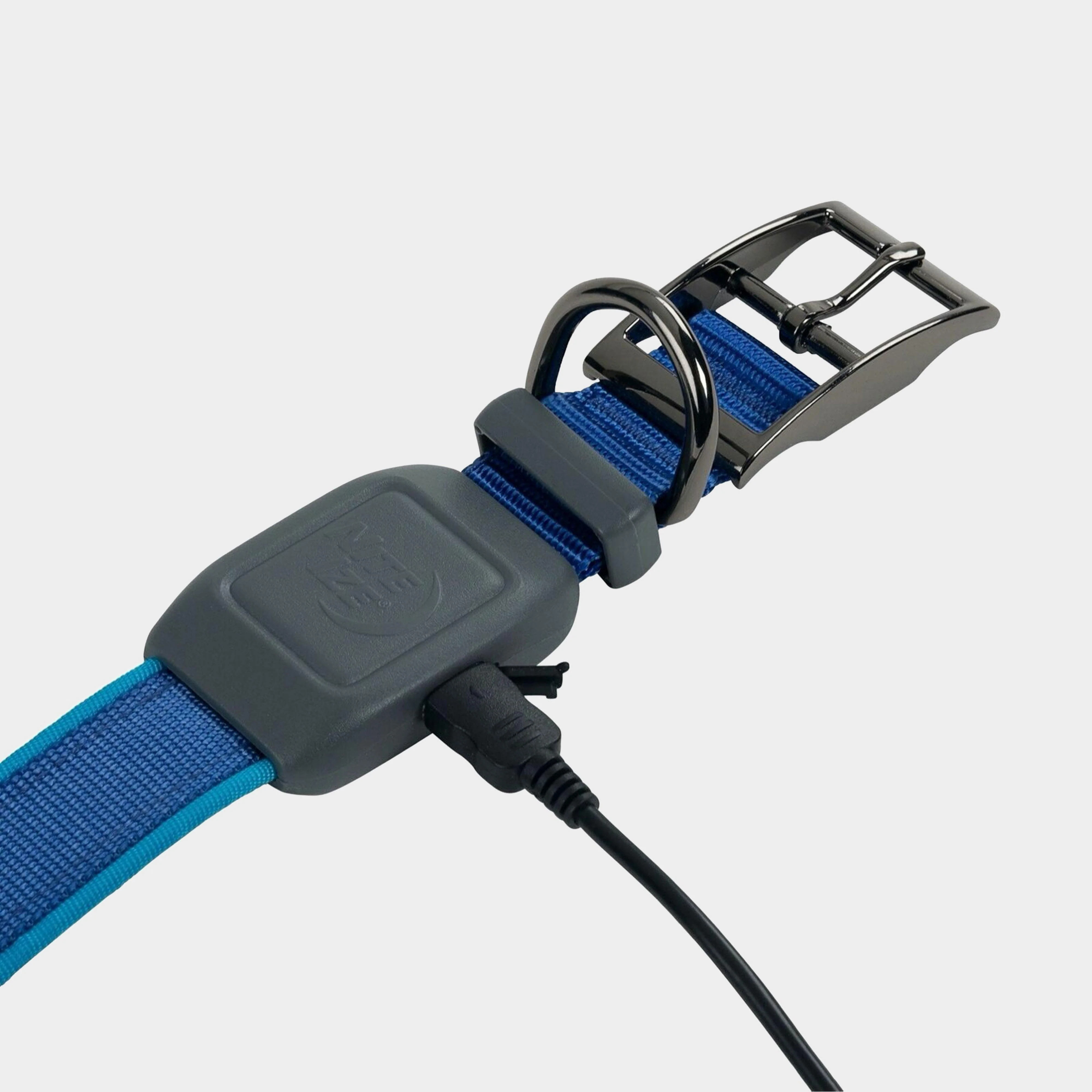Nitedog® LED Rechargeable Collar Blue Large - Image 5