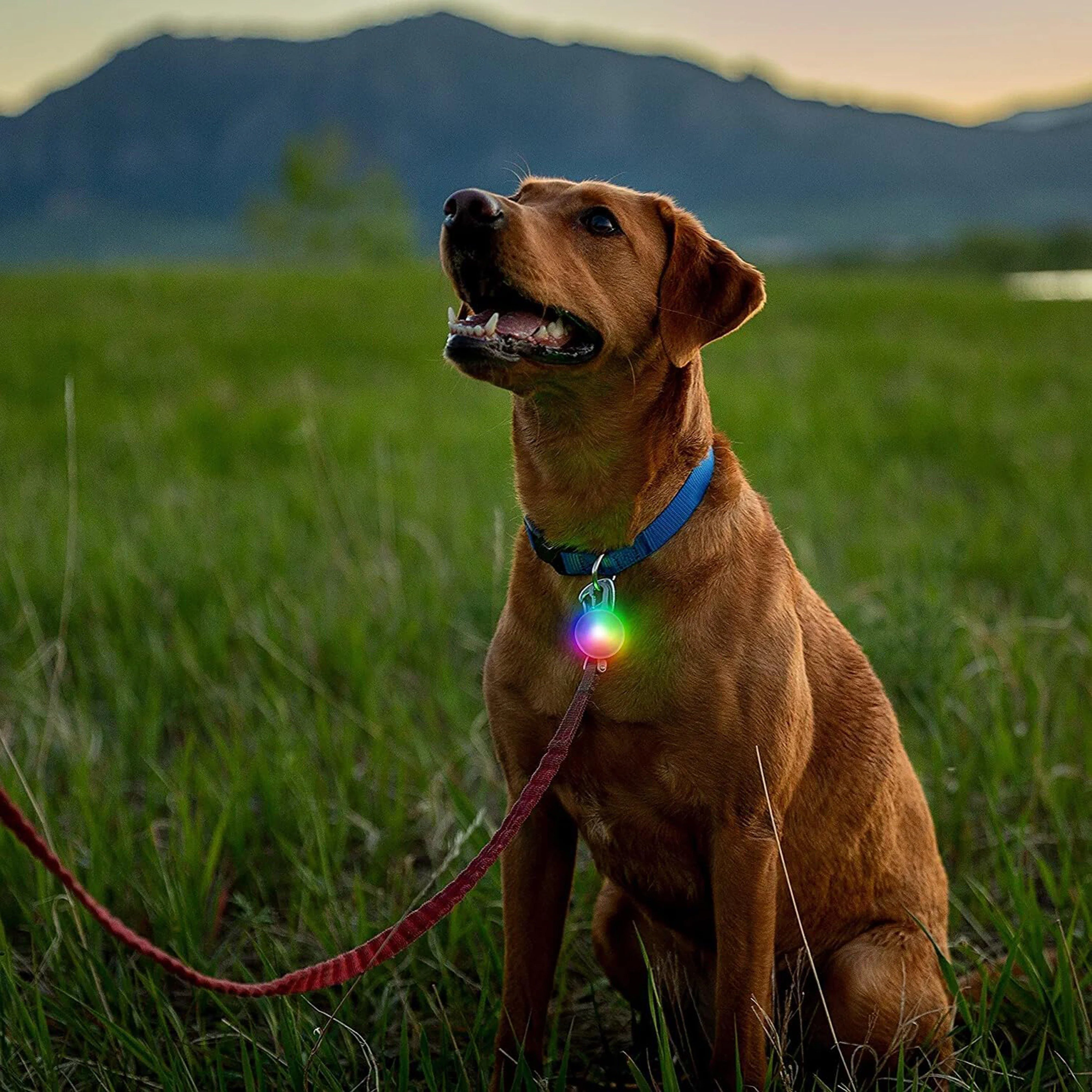 Spotlit® Rechargeable Disco Tech™ Collar Light - Image 6