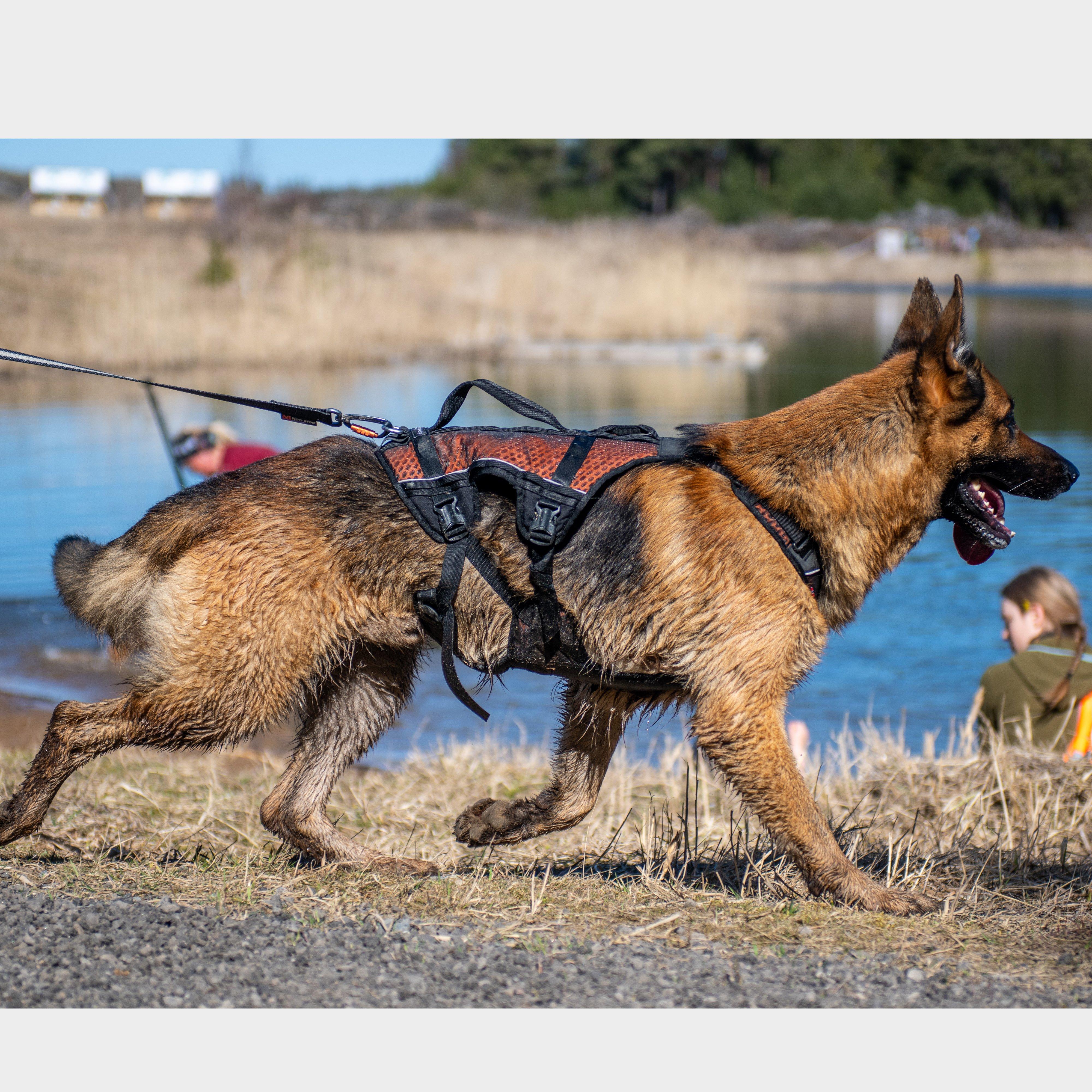 Rock Harness Long - Image 5