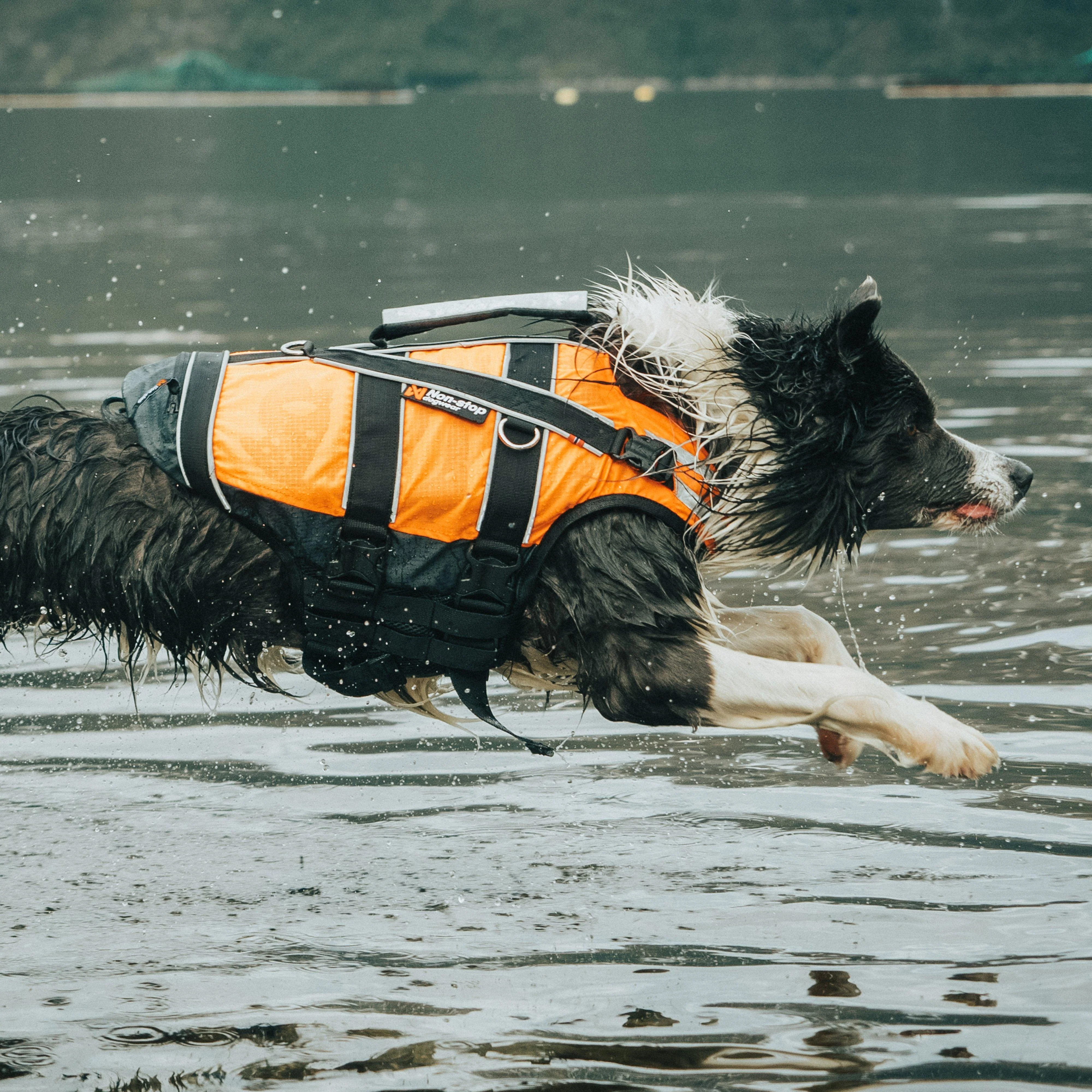 Safe Life Jacket 2.0 - Image 3