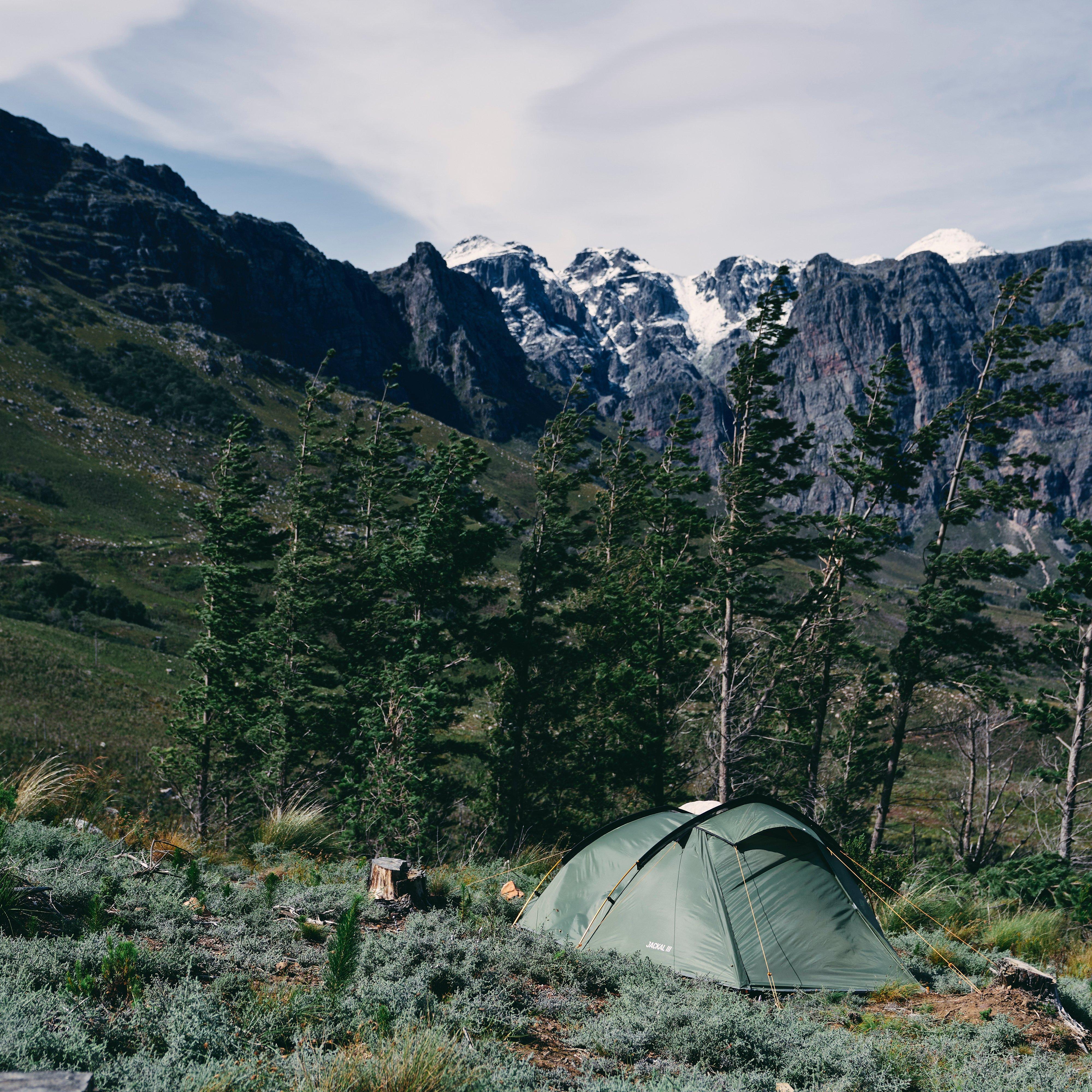 Jackal III Tent - Image 4
