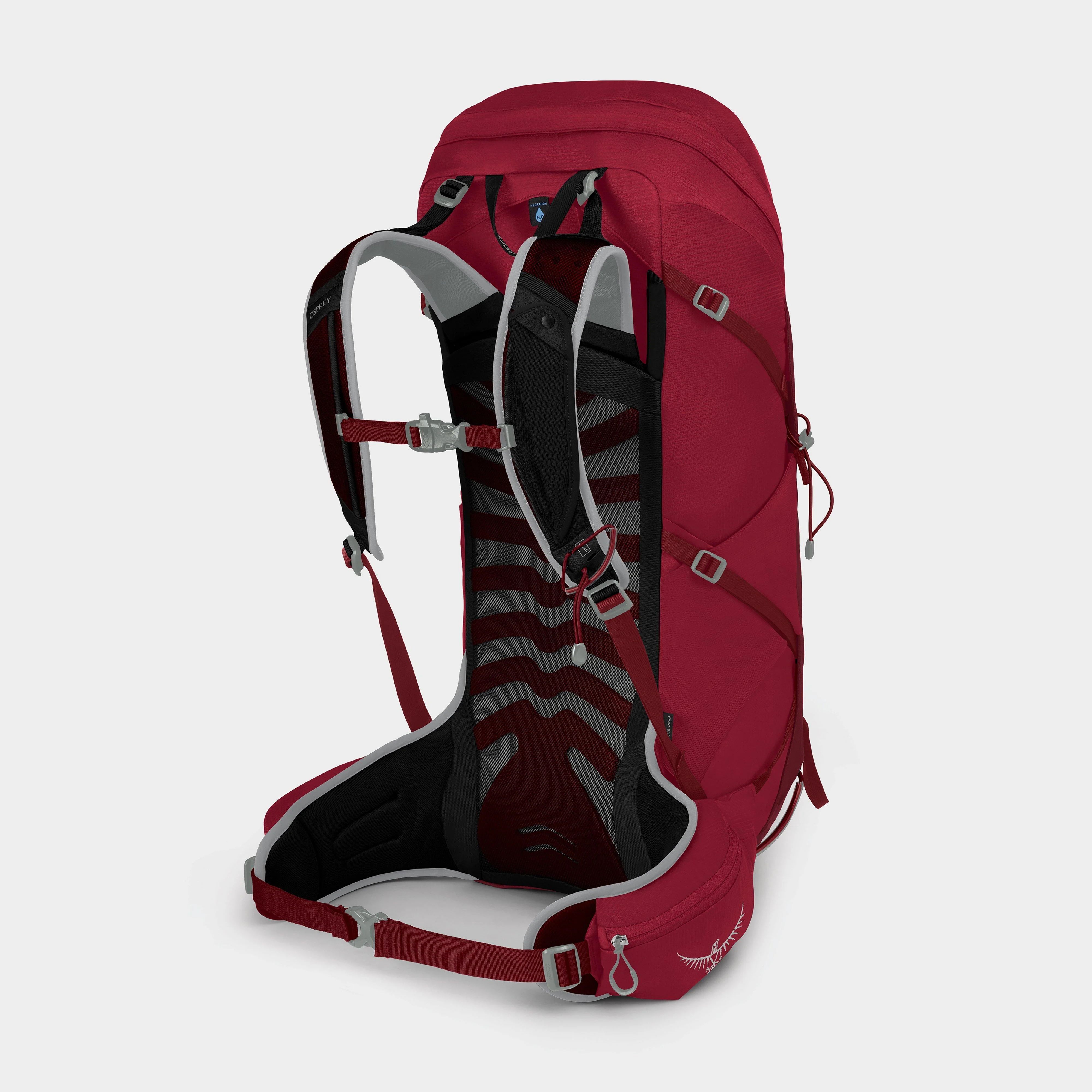 Talon 36 Daypack - Image 2