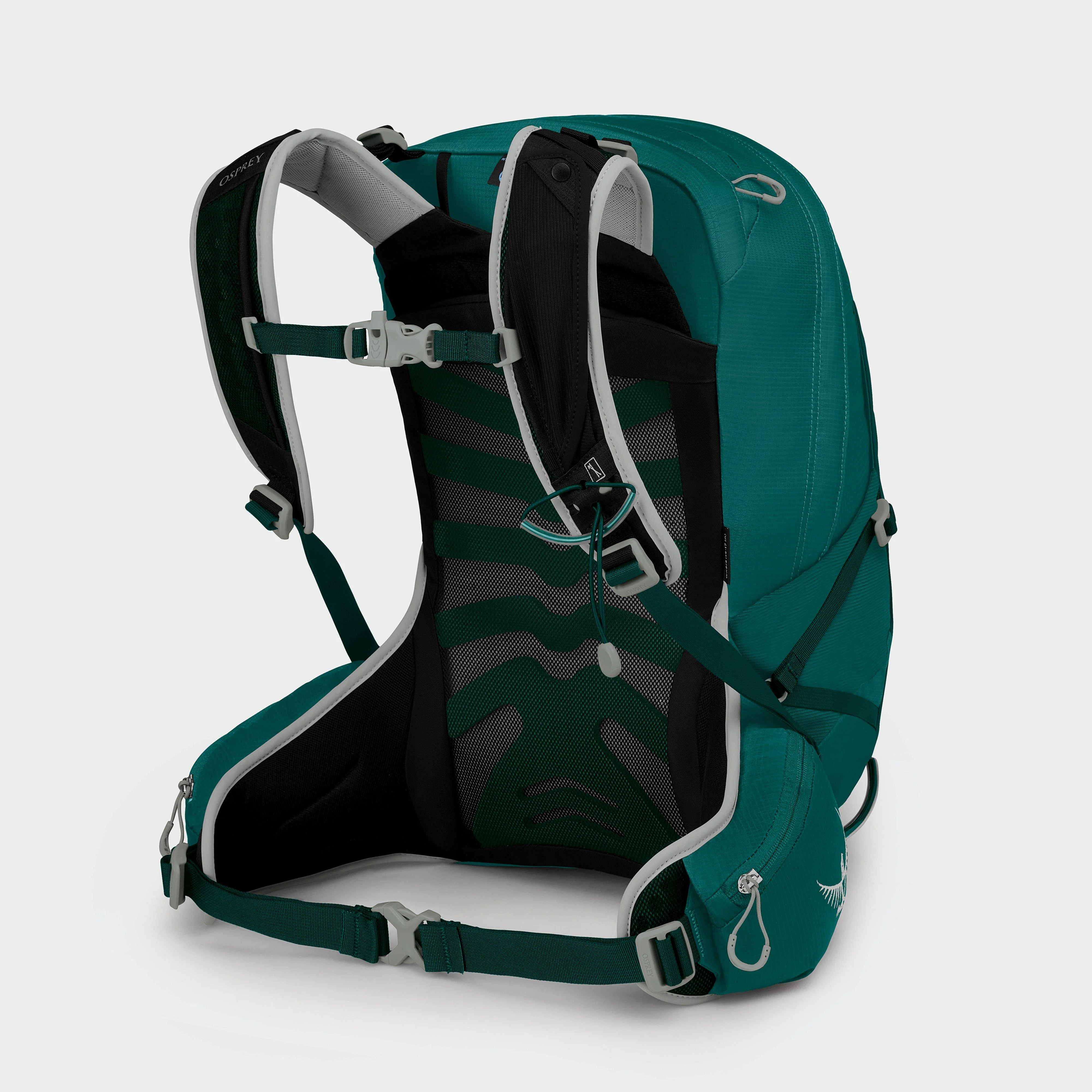 Women's Tempest 20L Daysack - Image 2