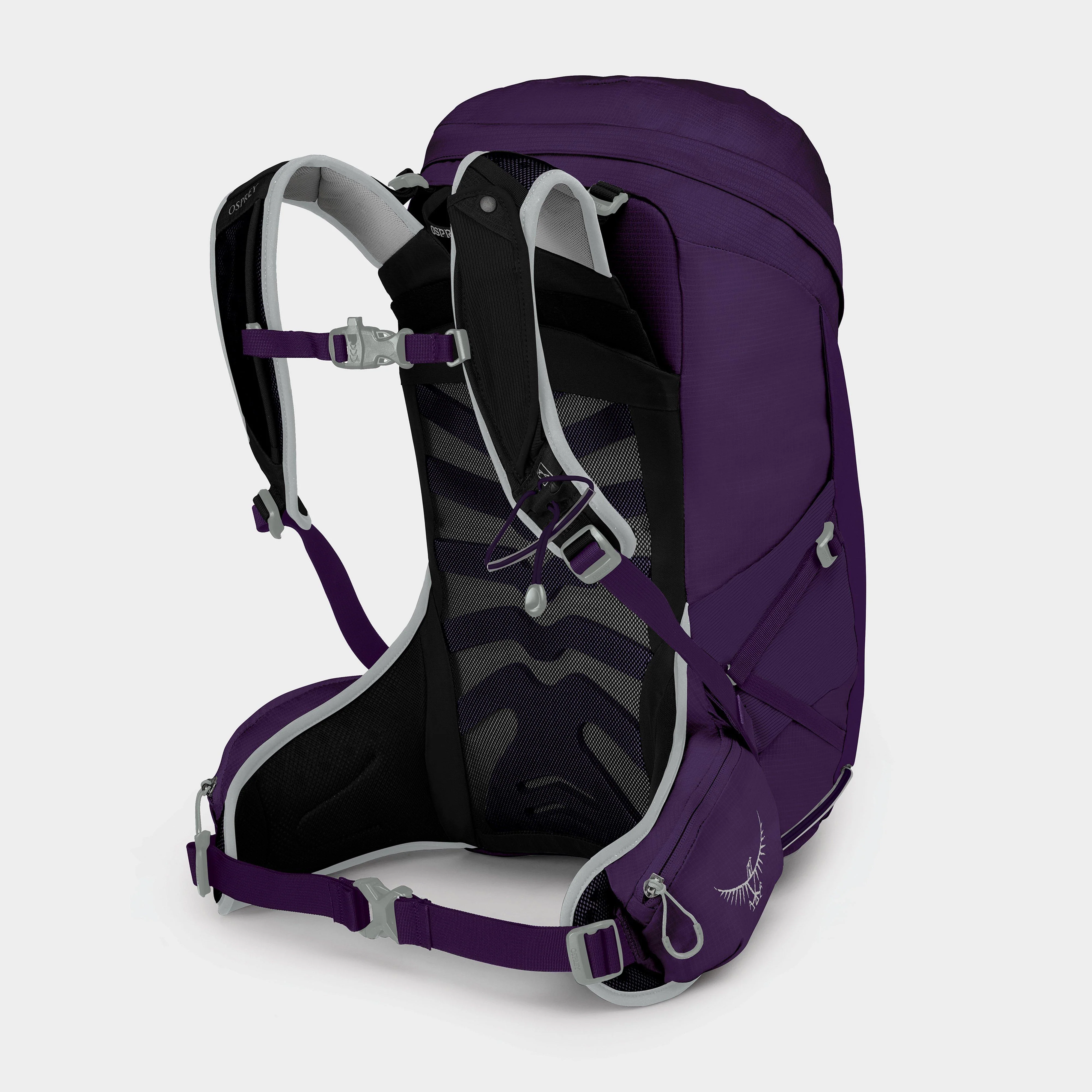 Women's Tempest 24L Daysack - Image 2