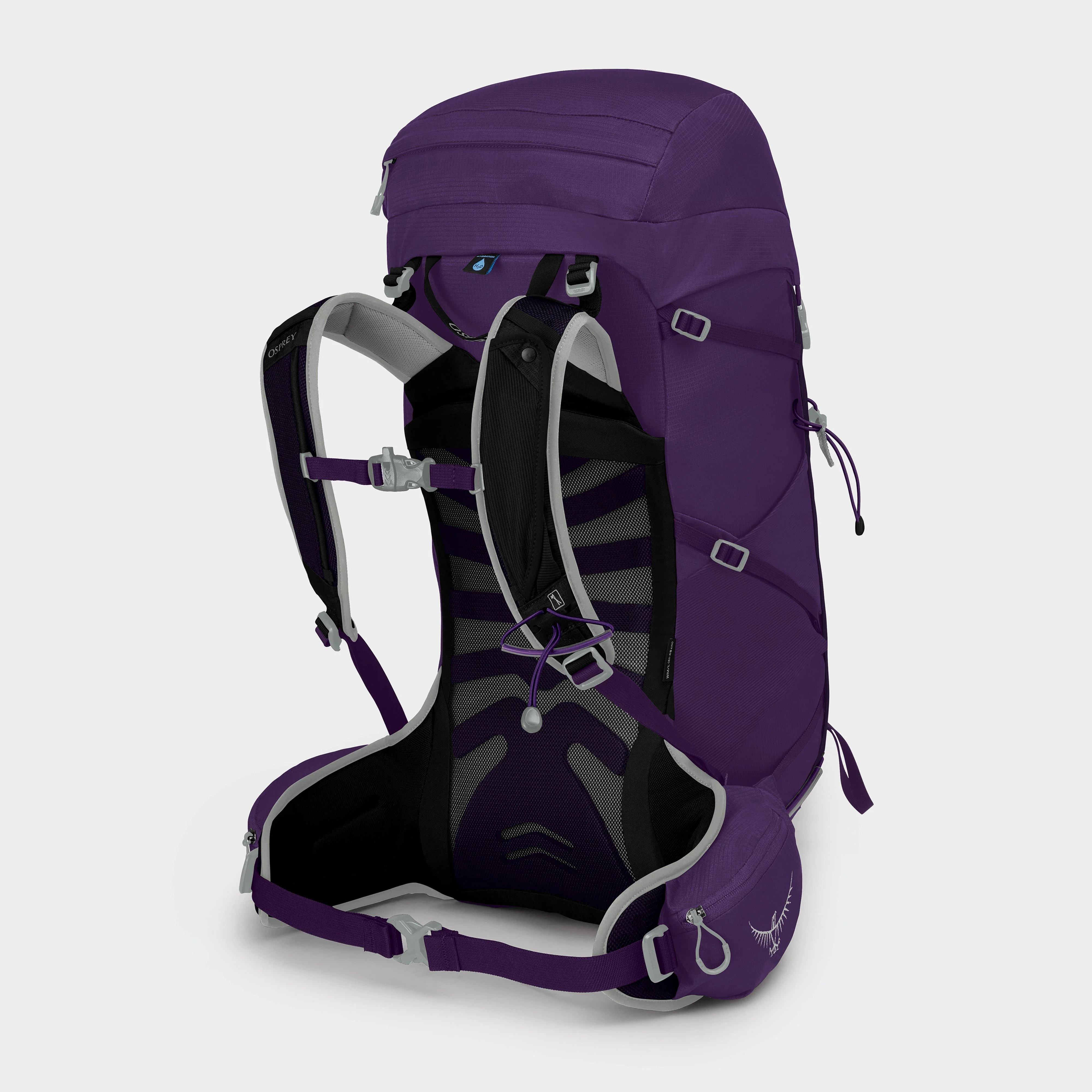 Women's Tempest 30L Daysack - Image 2
