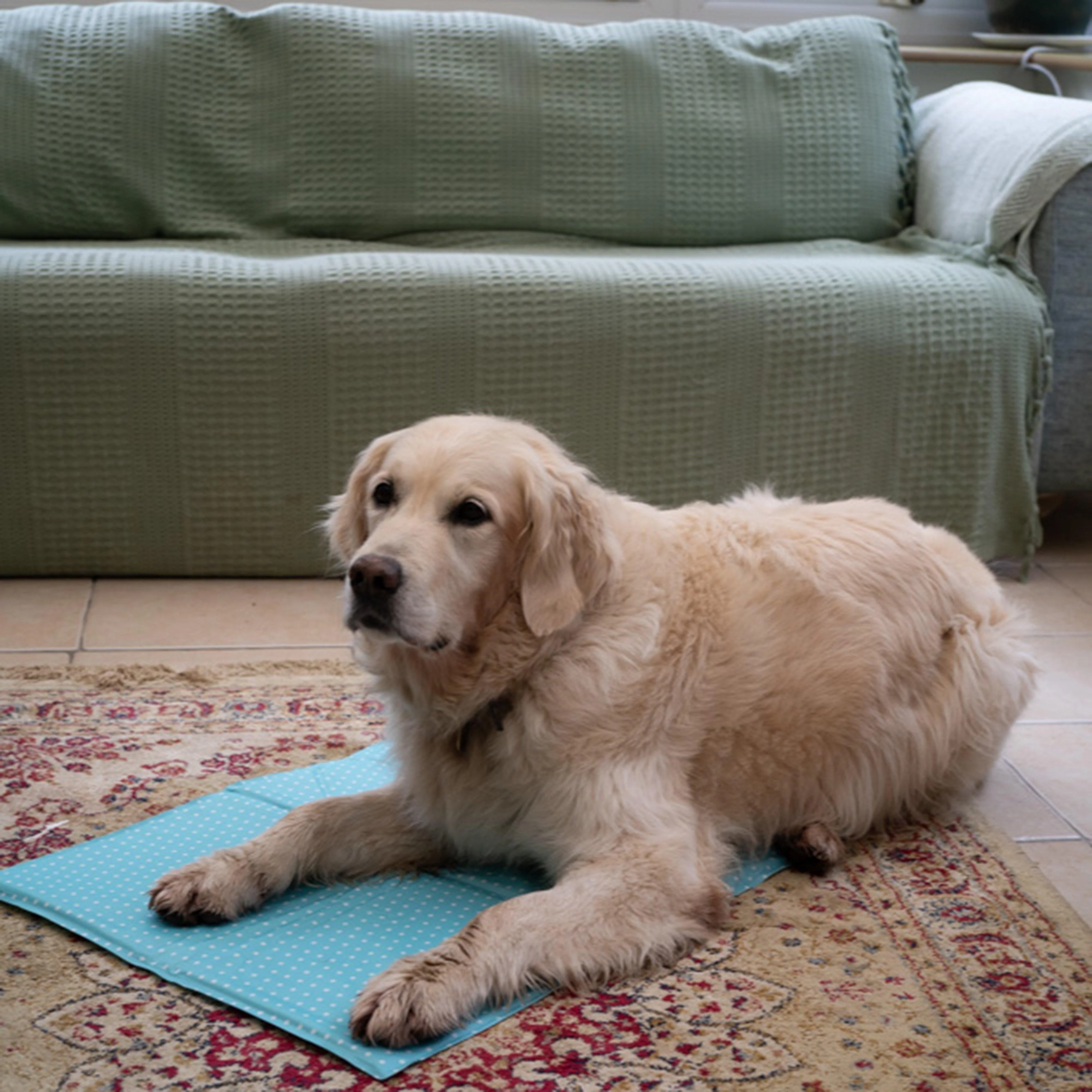 Cooling Pet Mat - Image 4