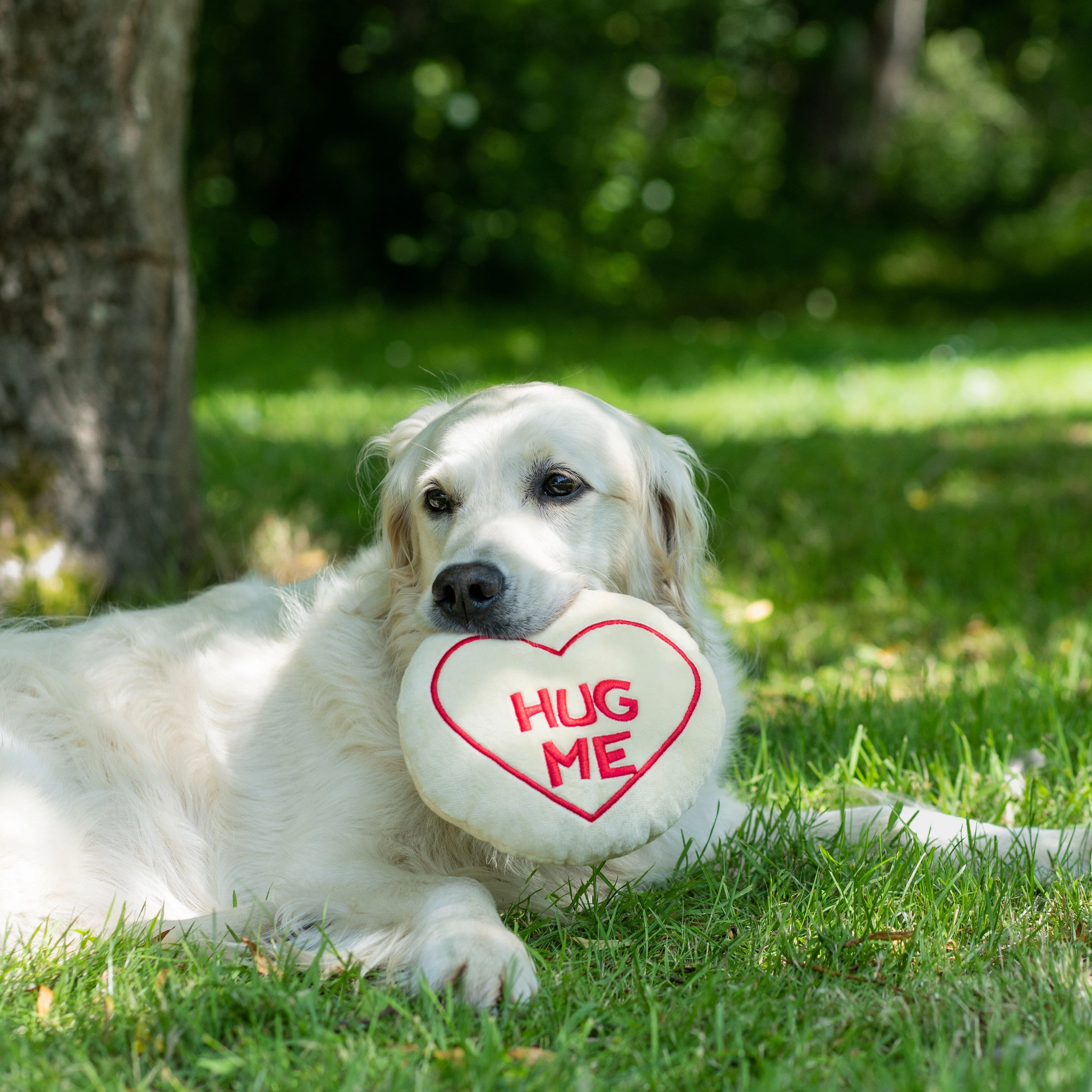 Hug Me Plush Dog Toy - Image 3