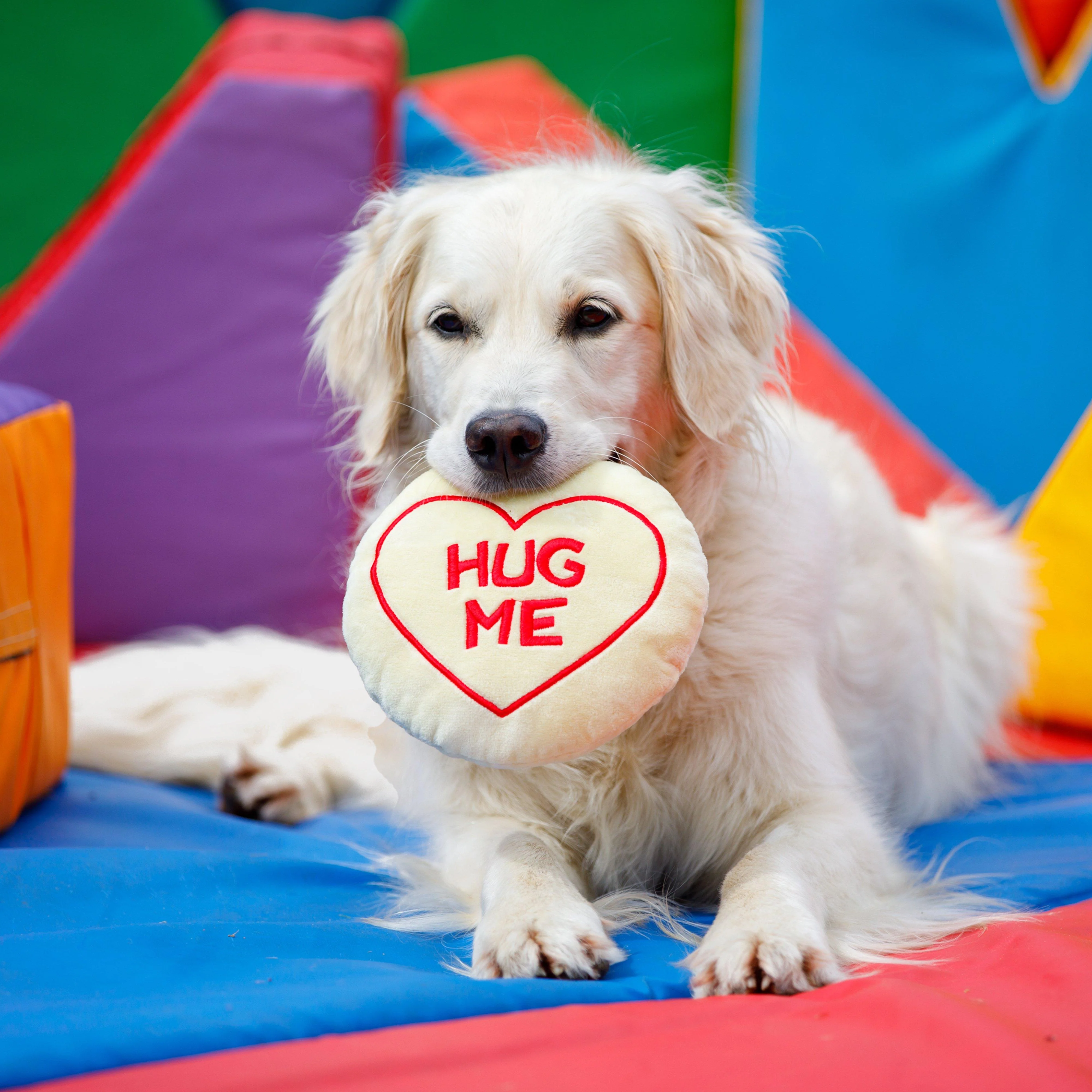 Hug Me Plush Dog Toy - Image 4