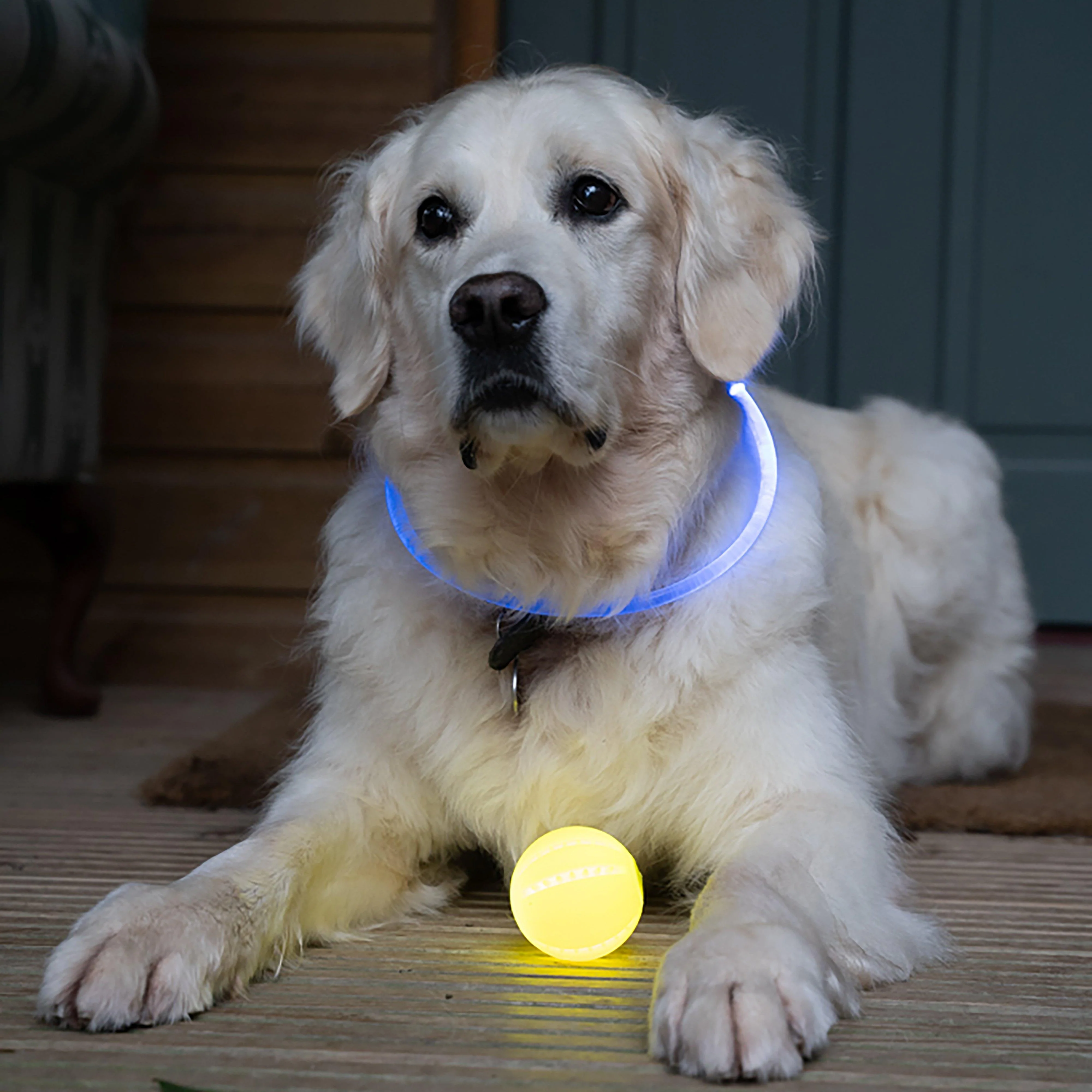 Outdoor Paws USB Rechargeable Glow In The Dark Ball Dog Toy - Image 10