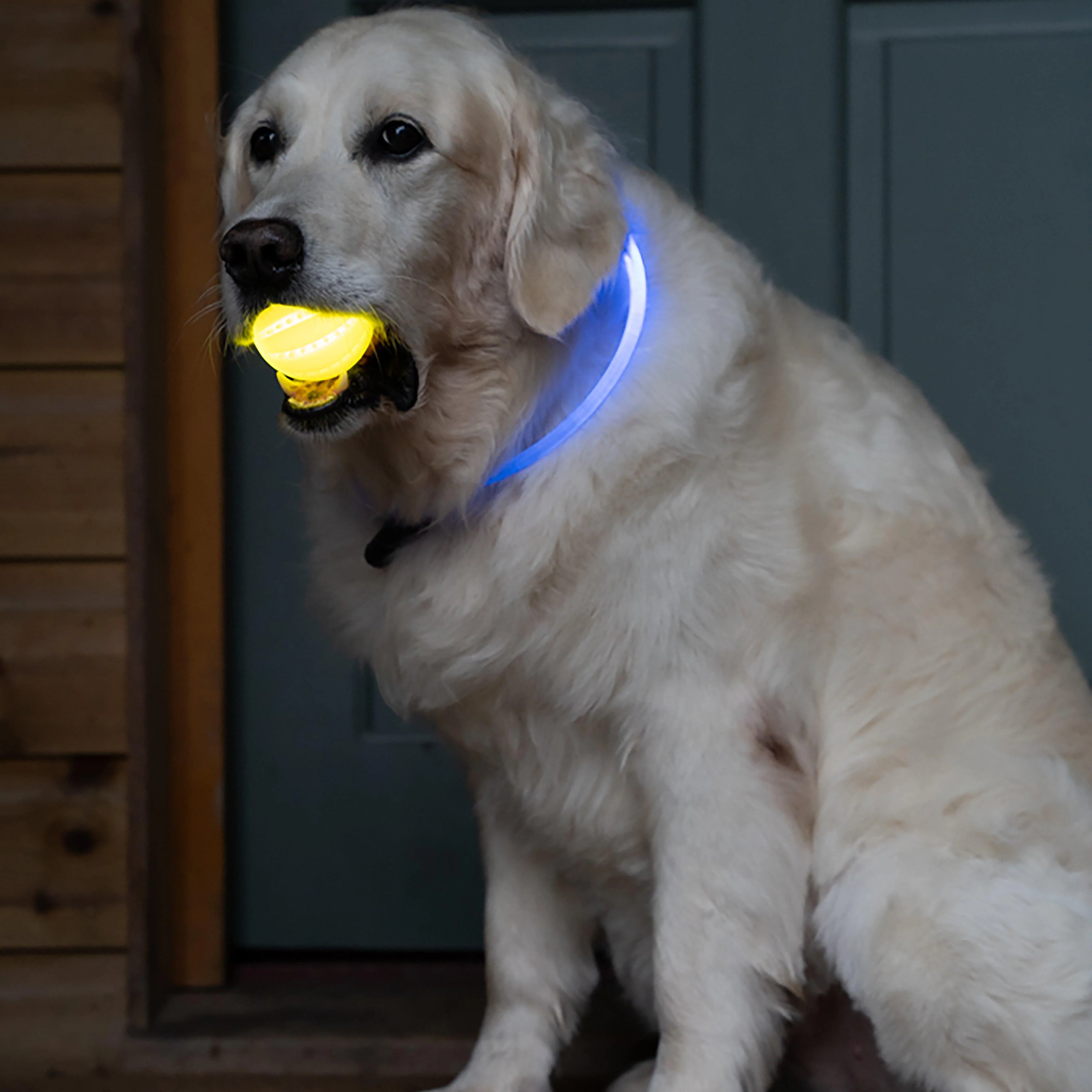 Outdoor Paws USB Rechargeable Glow In The Dark Ball Dog Toy - Image 5