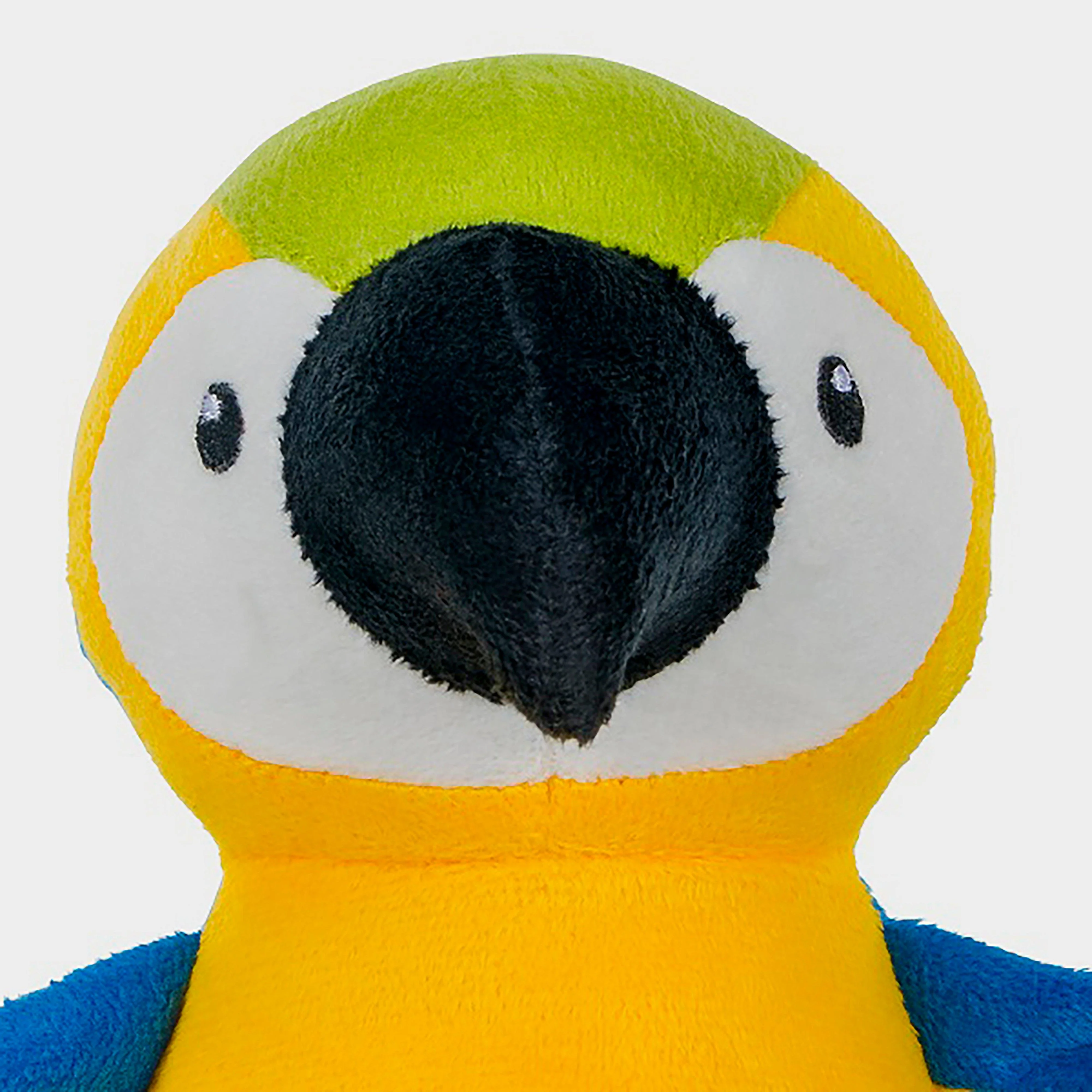 Planet Parrot - Image 5