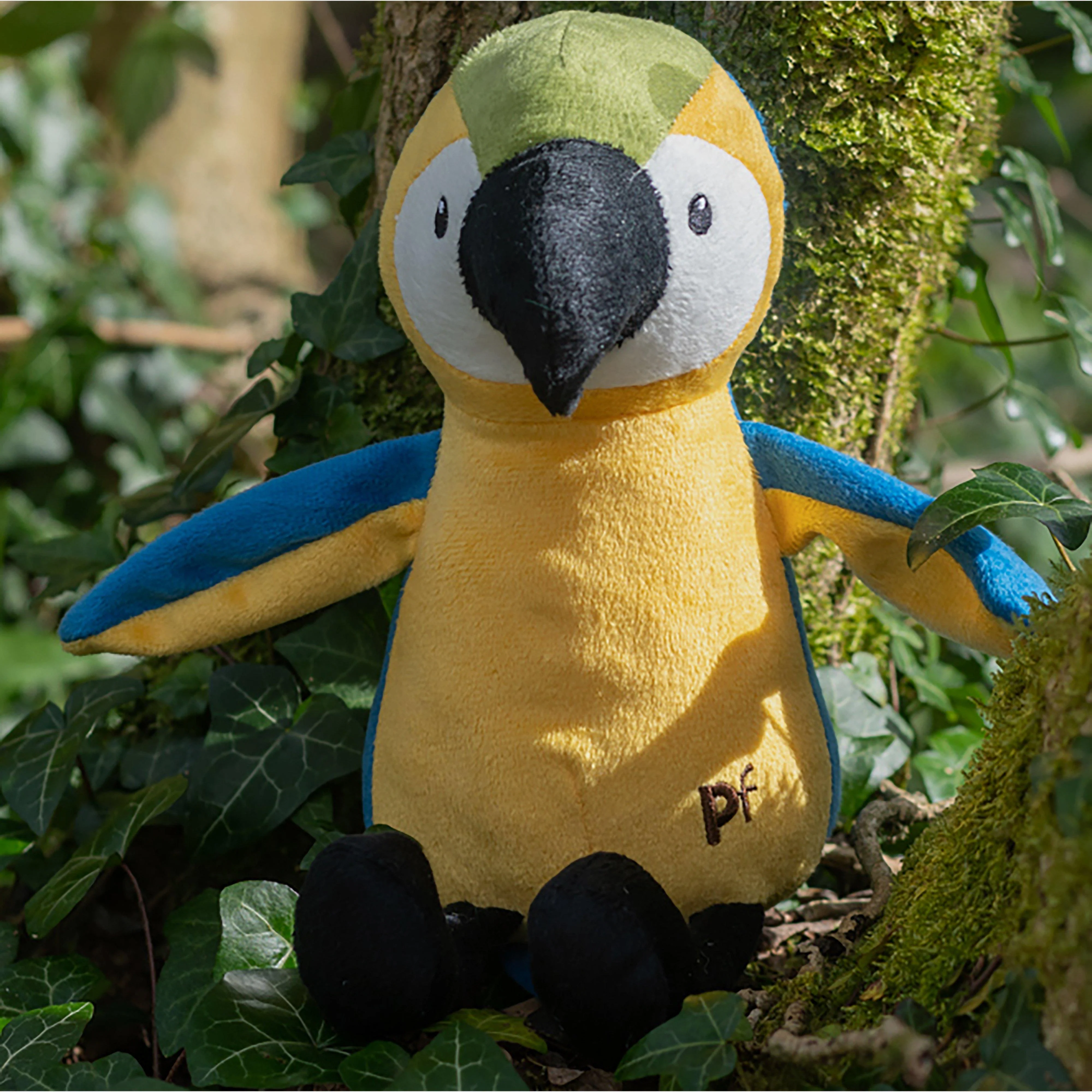 Planet Parrot - Image 6