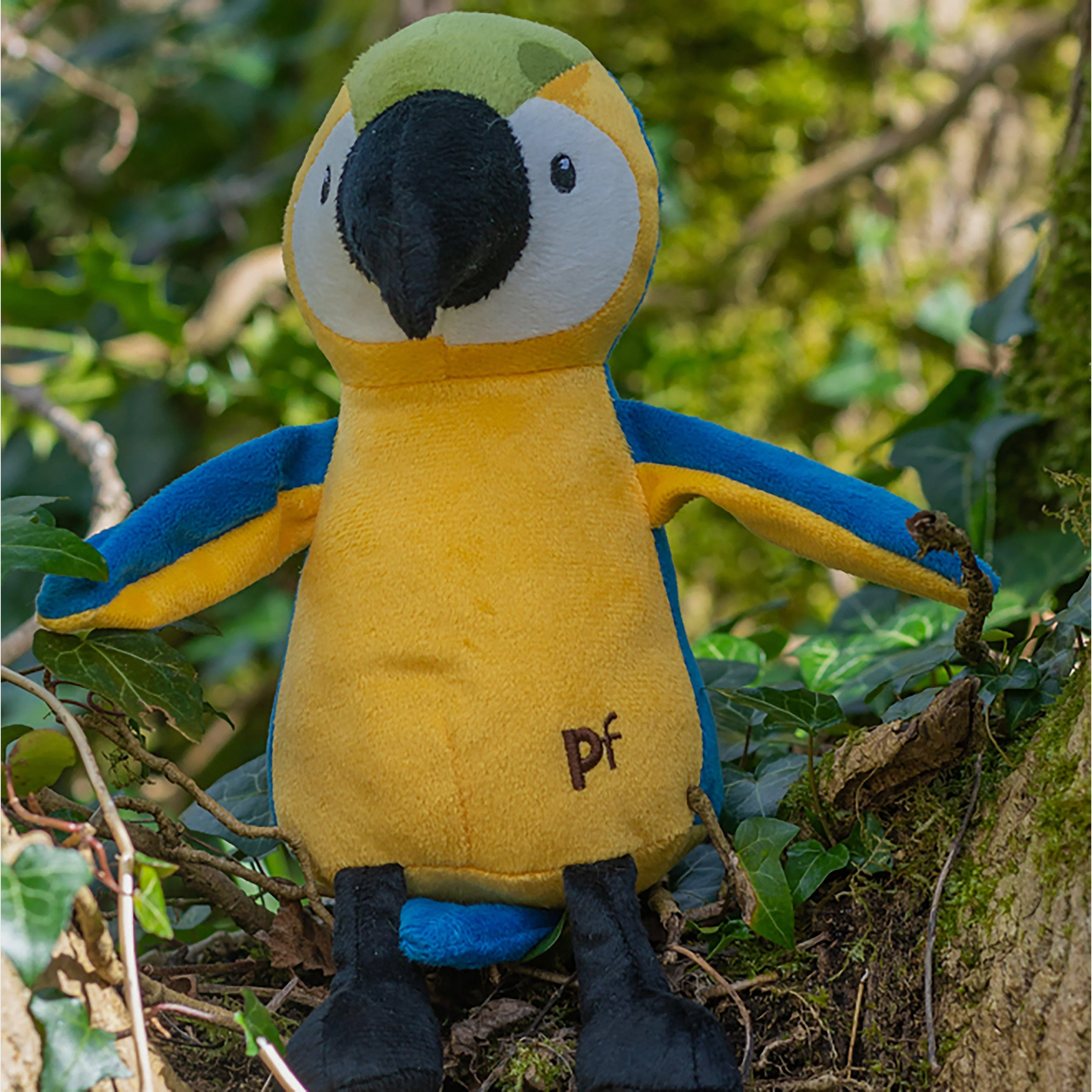 Planet Parrot - Image 7