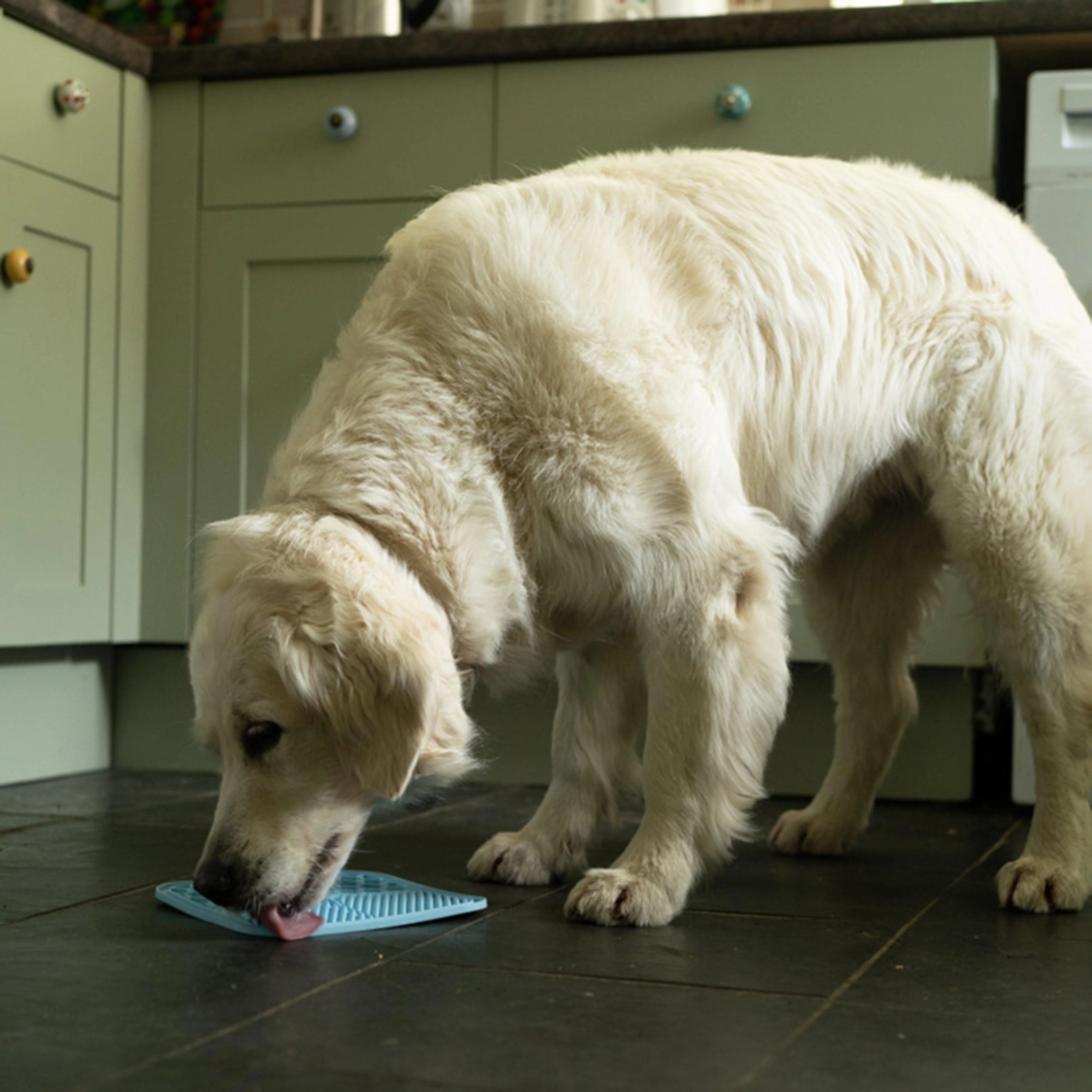 Silicone Pet Treat Mat 2 Pack - Image 6