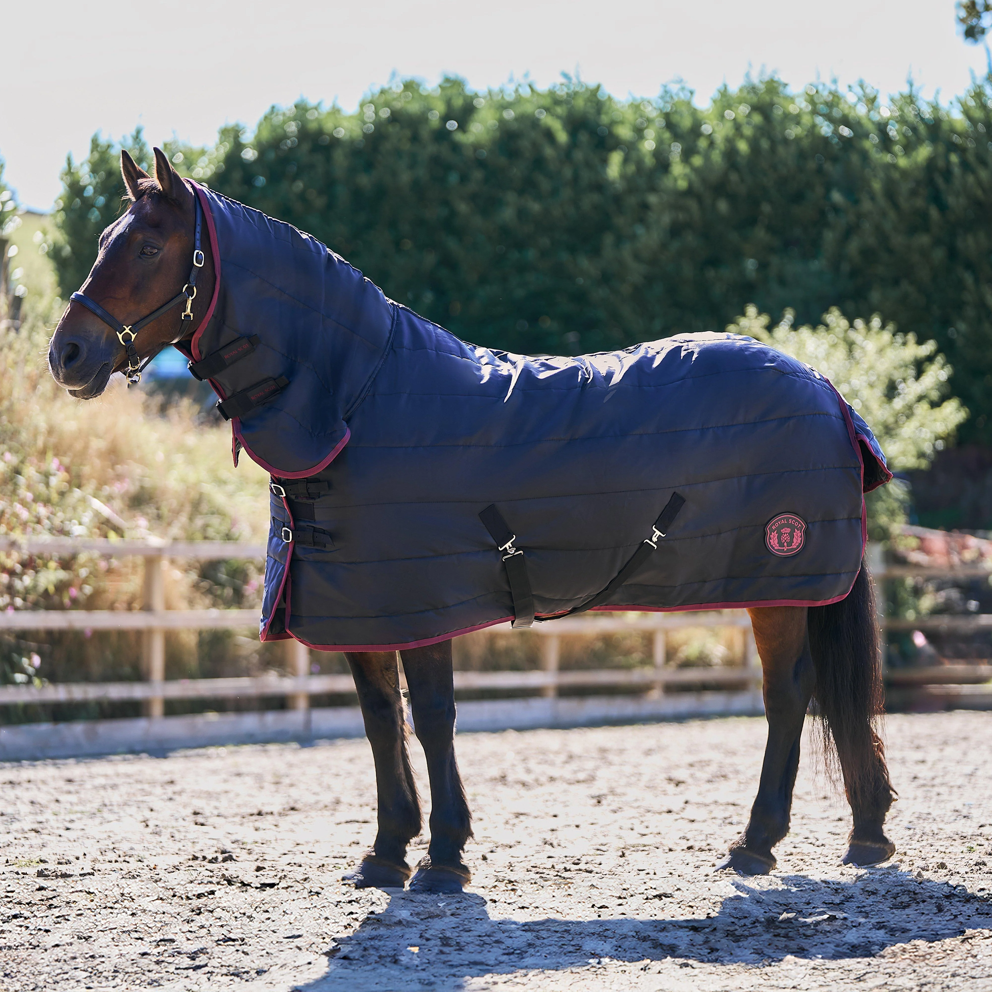 Original 100g Combo Neck Stable Rug - Image 7