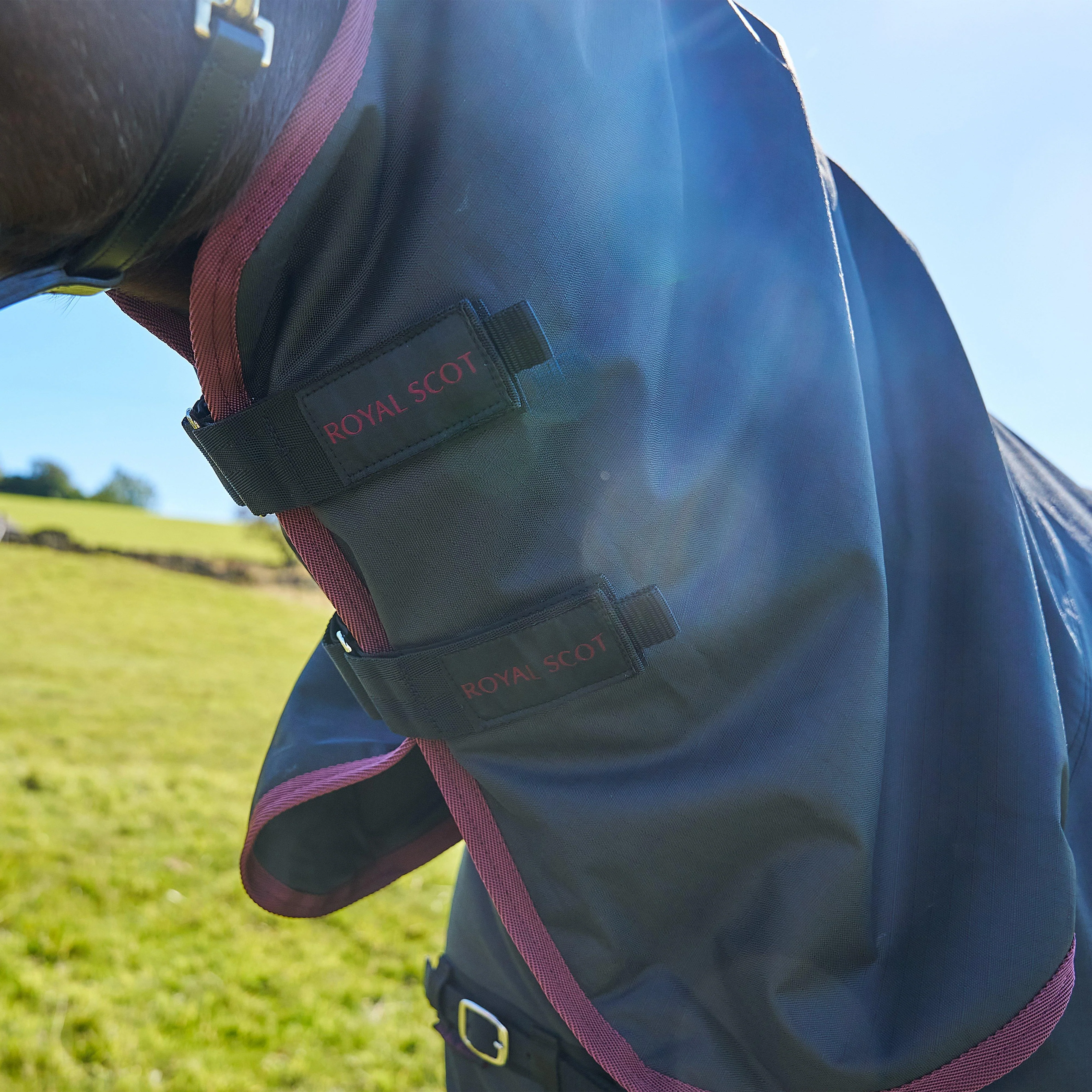 Original 100g Light-Medium Weight Combo Neck Turnout Rug Black/Wine - Image 6