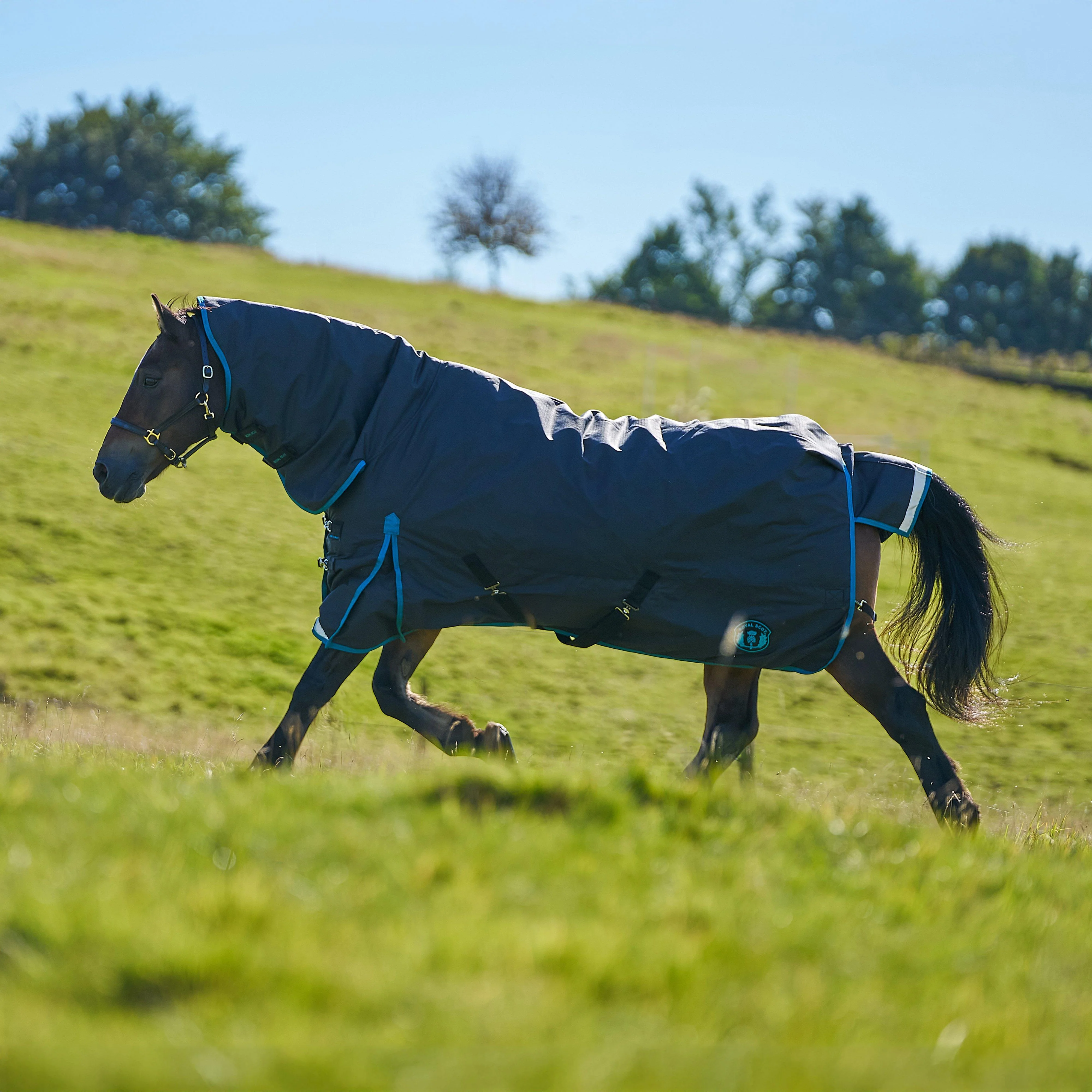 Original 200g Light-Medium Combo Neck Turnout Rug - Image 10