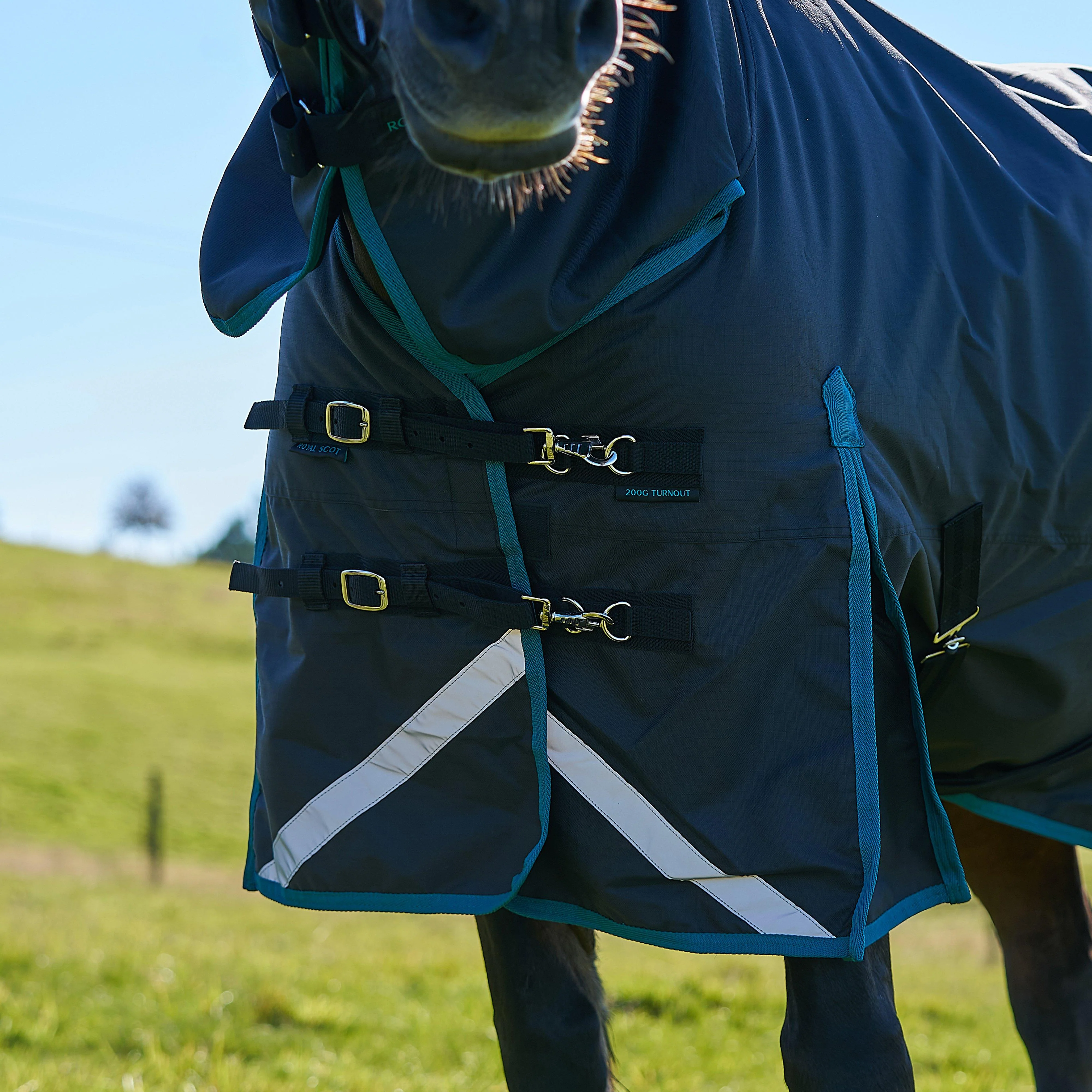 Original 200g Light-Medium Combo Neck Turnout Rug - Image 5