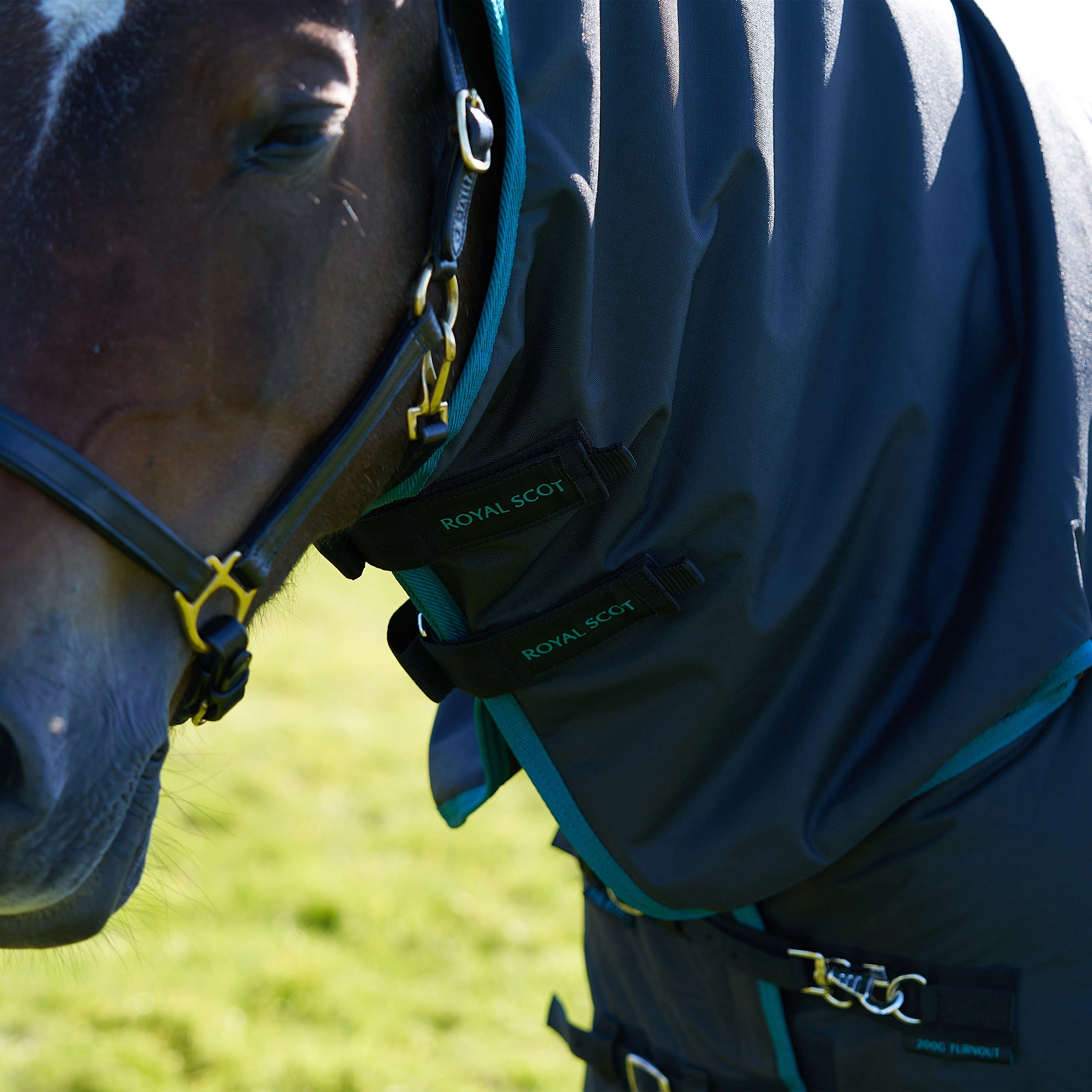Original 200g Light-Medium Combo Neck Turnout Rug - Image 6
