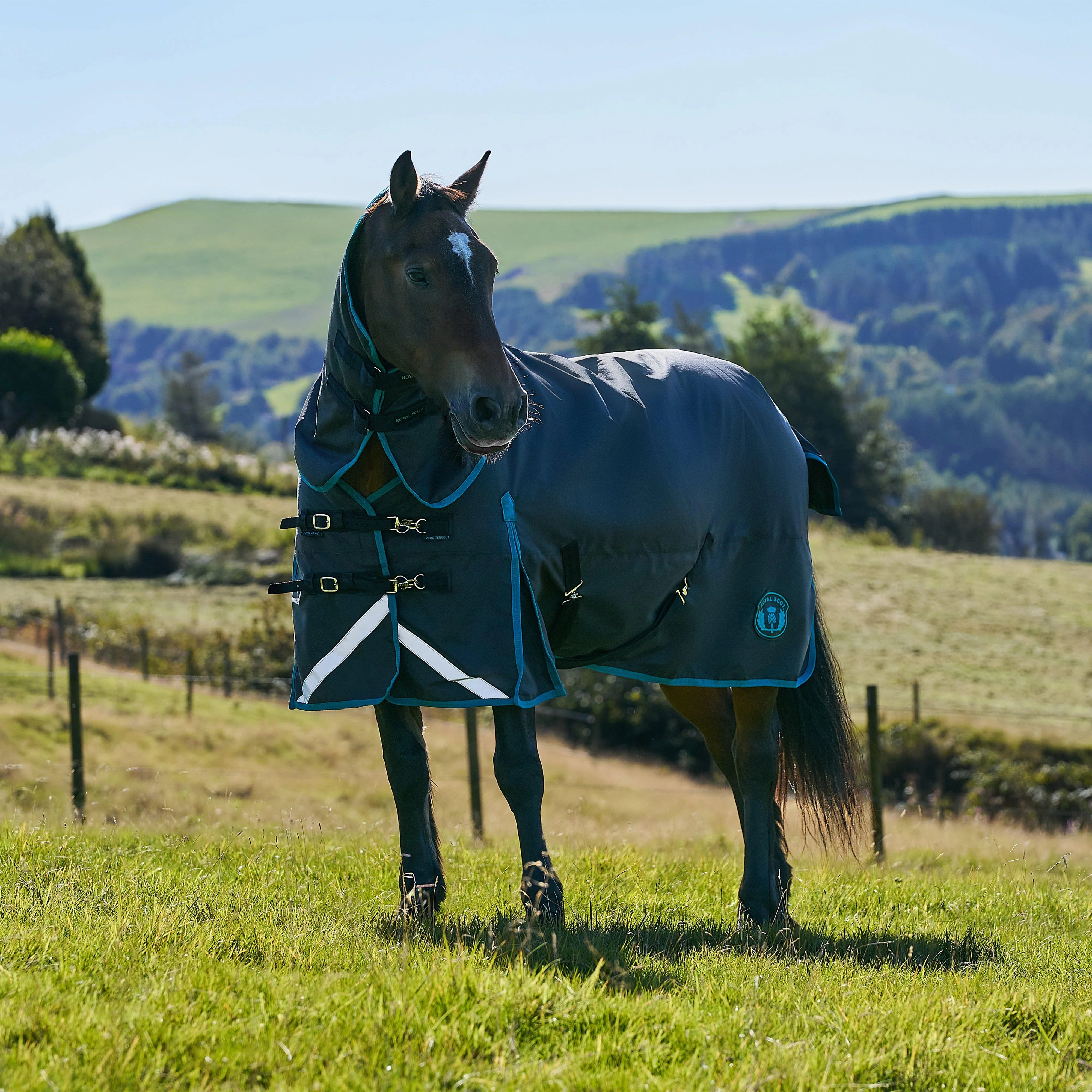 Original 200g Light-Medium Combo Neck Turnout Rug - Image 8