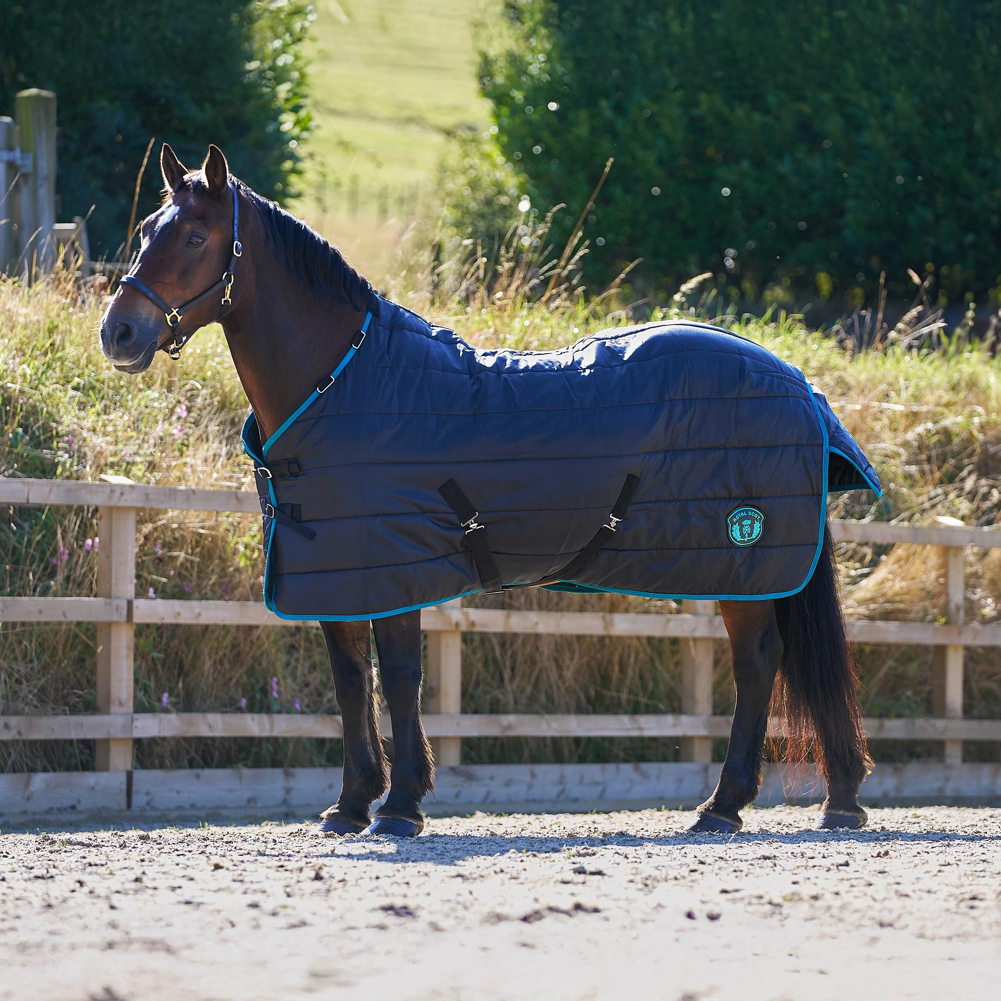Original 250g Medium Detach-A-Neck Stable Rug Black/Ocean - Image 2