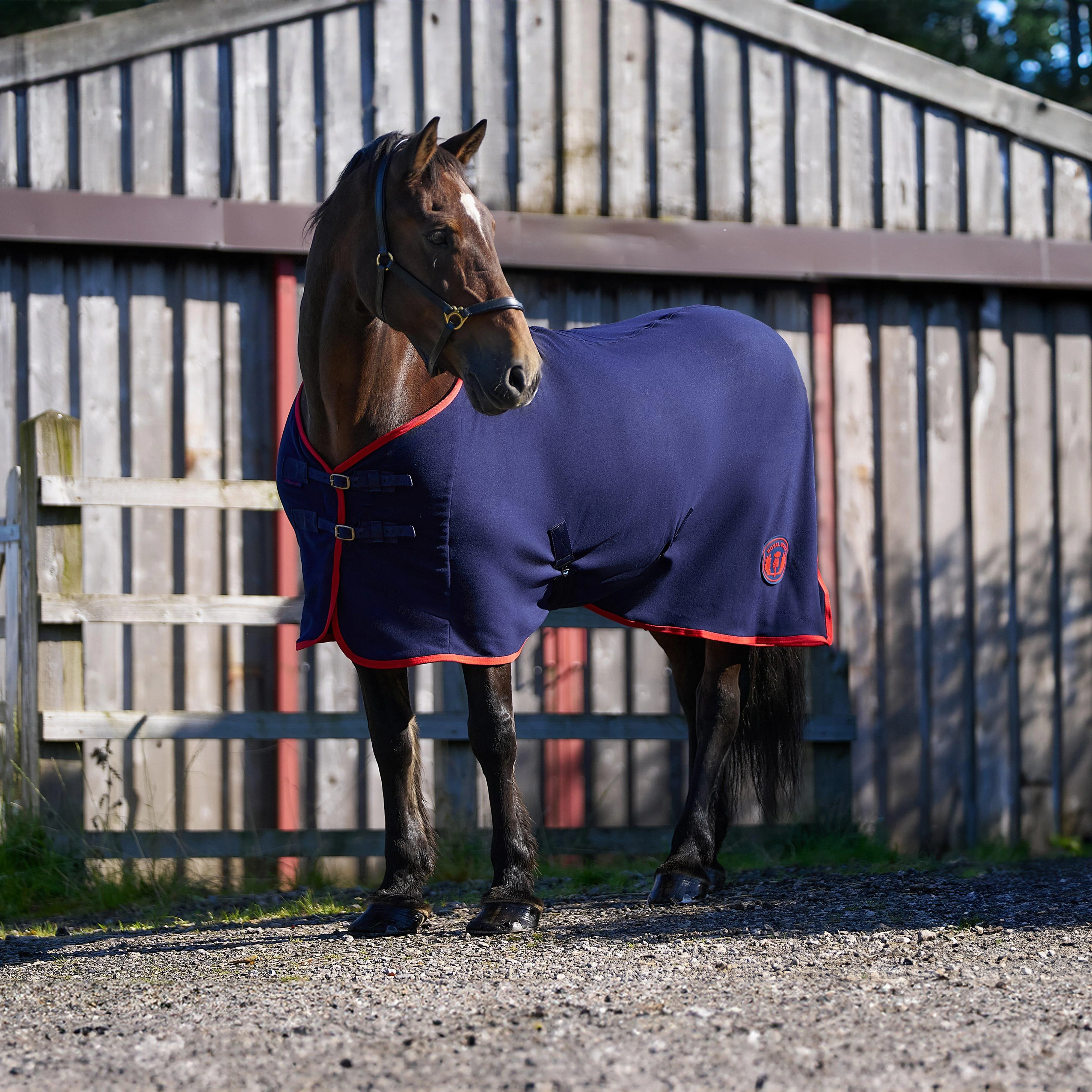 Original Fleece Standard Neck Rug Navy/Red - Image 11