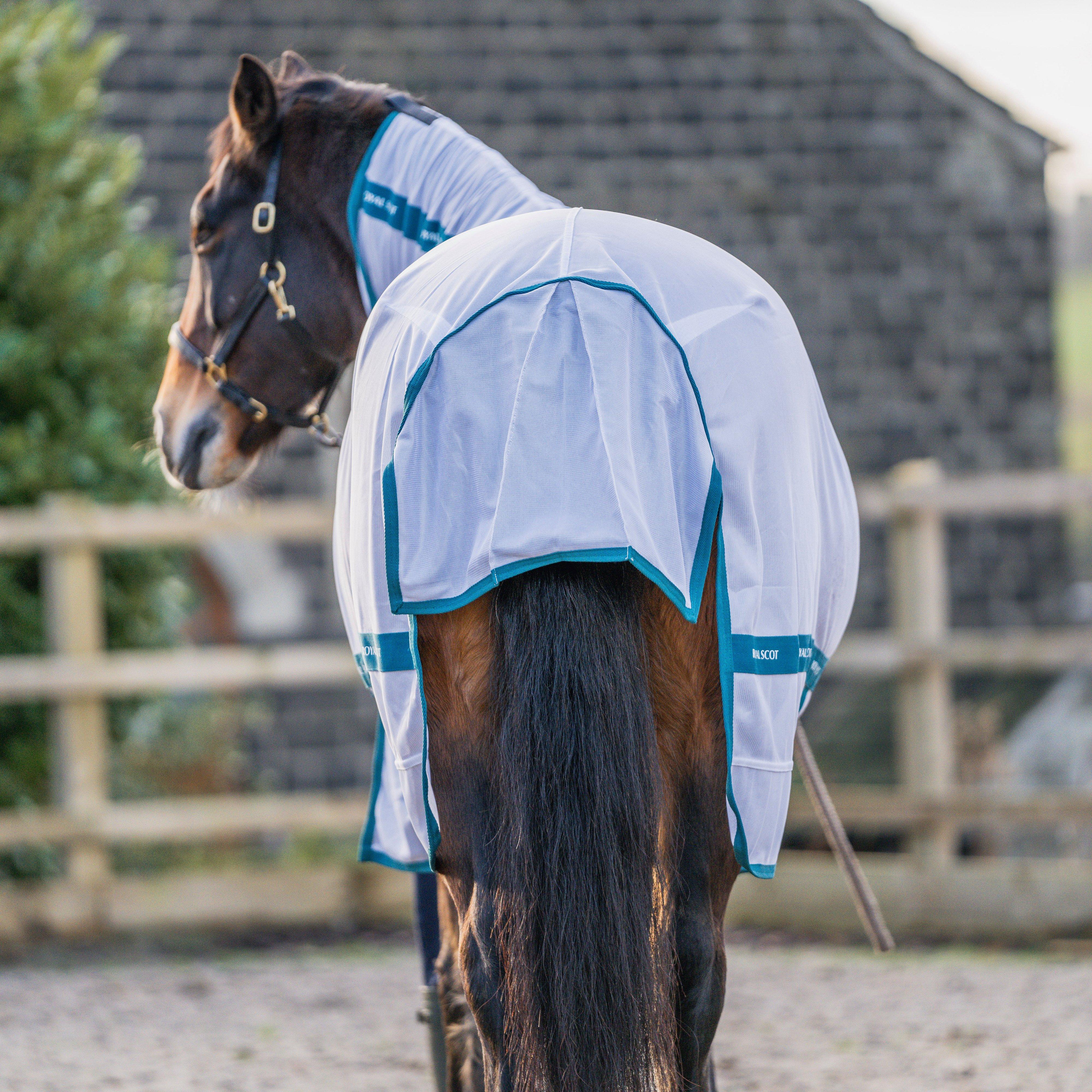 Original Fly Rug - Image 7